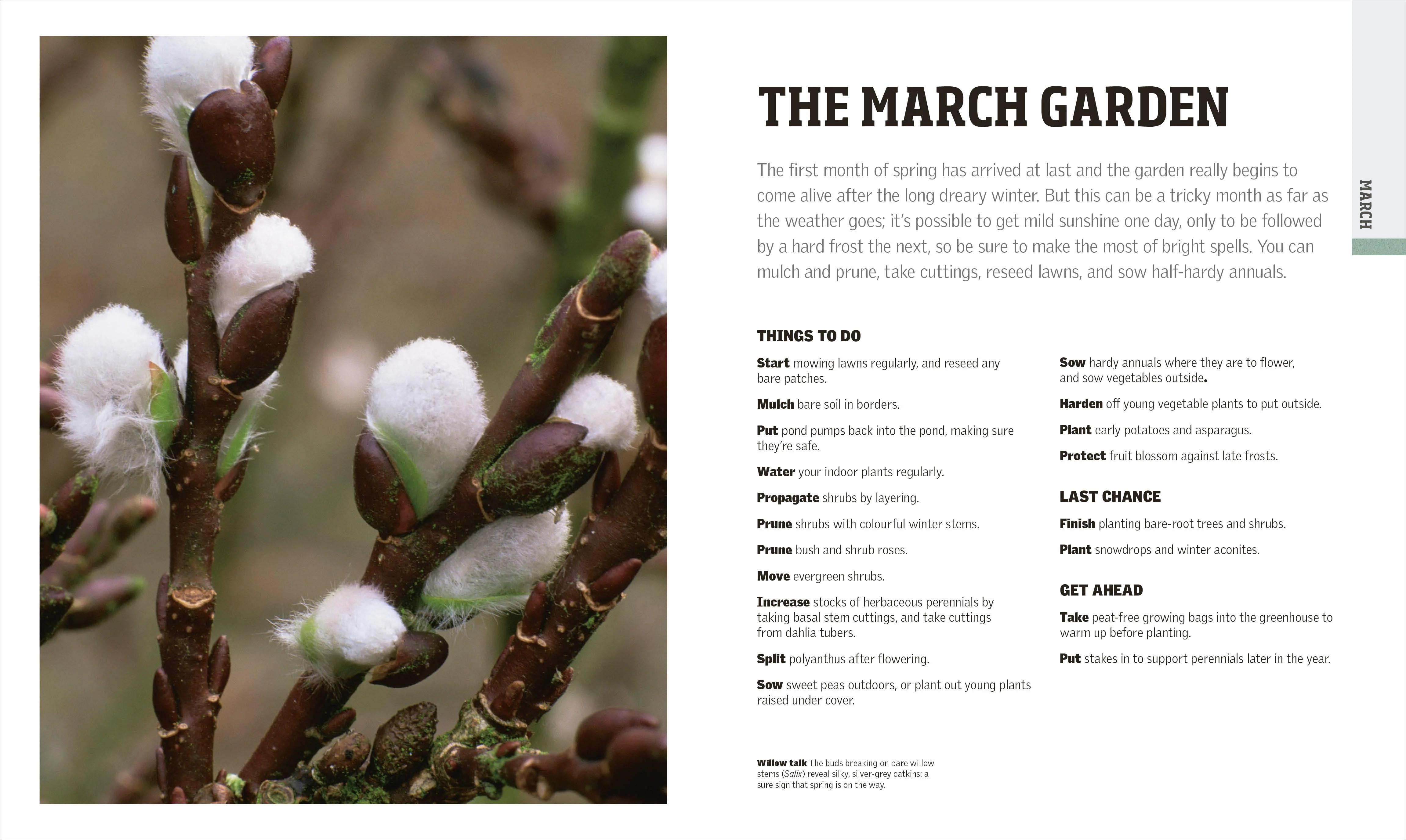 RHS Gardening Through the Year - Image 4