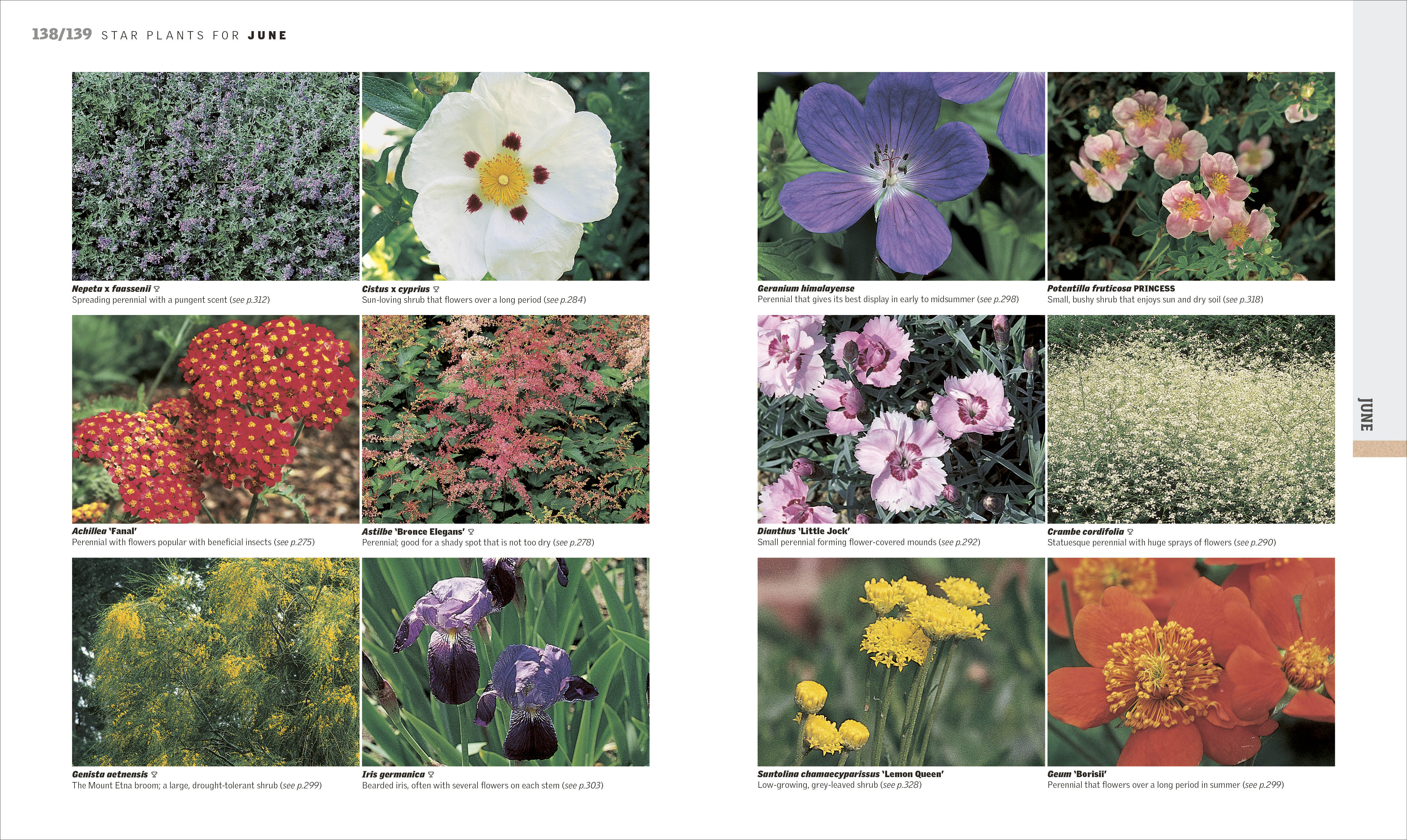 RHS Gardening Through the Year - Image 5