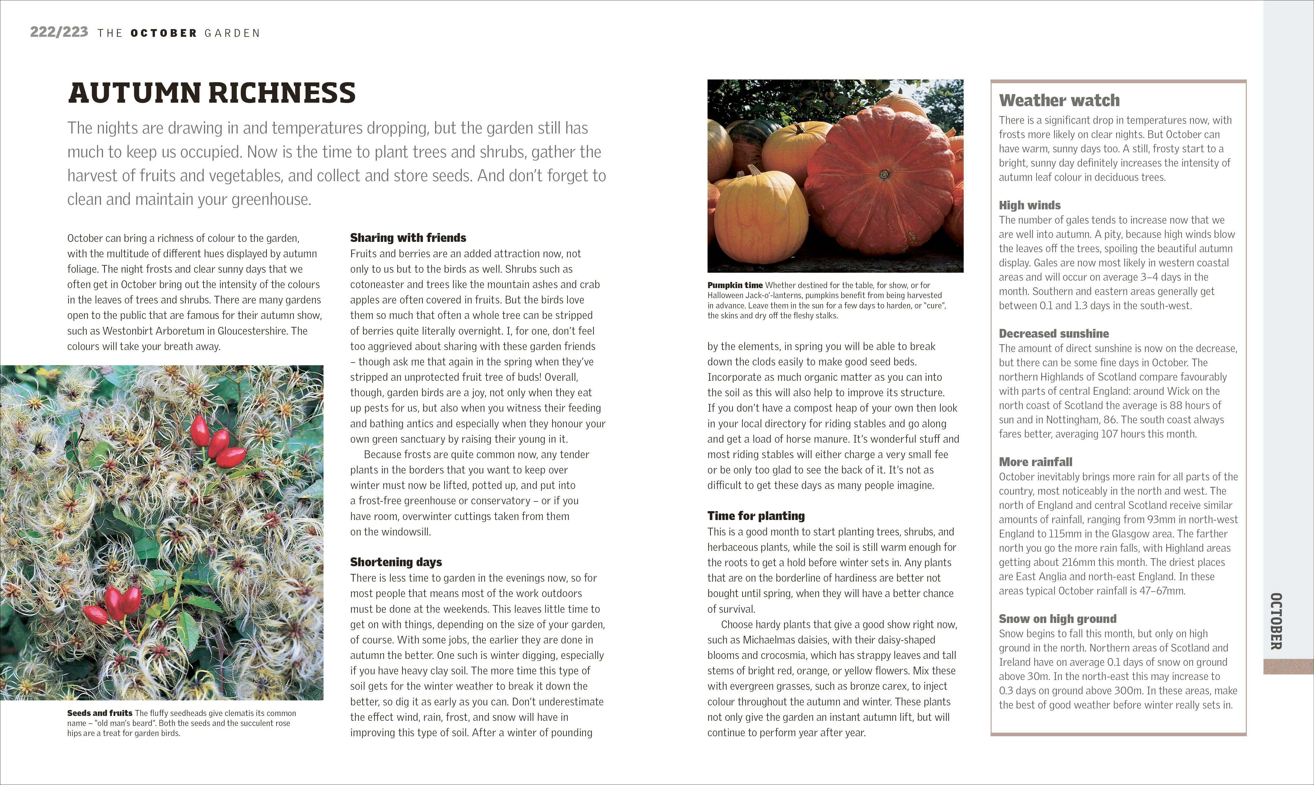 RHS Gardening Through the Year - Image 6