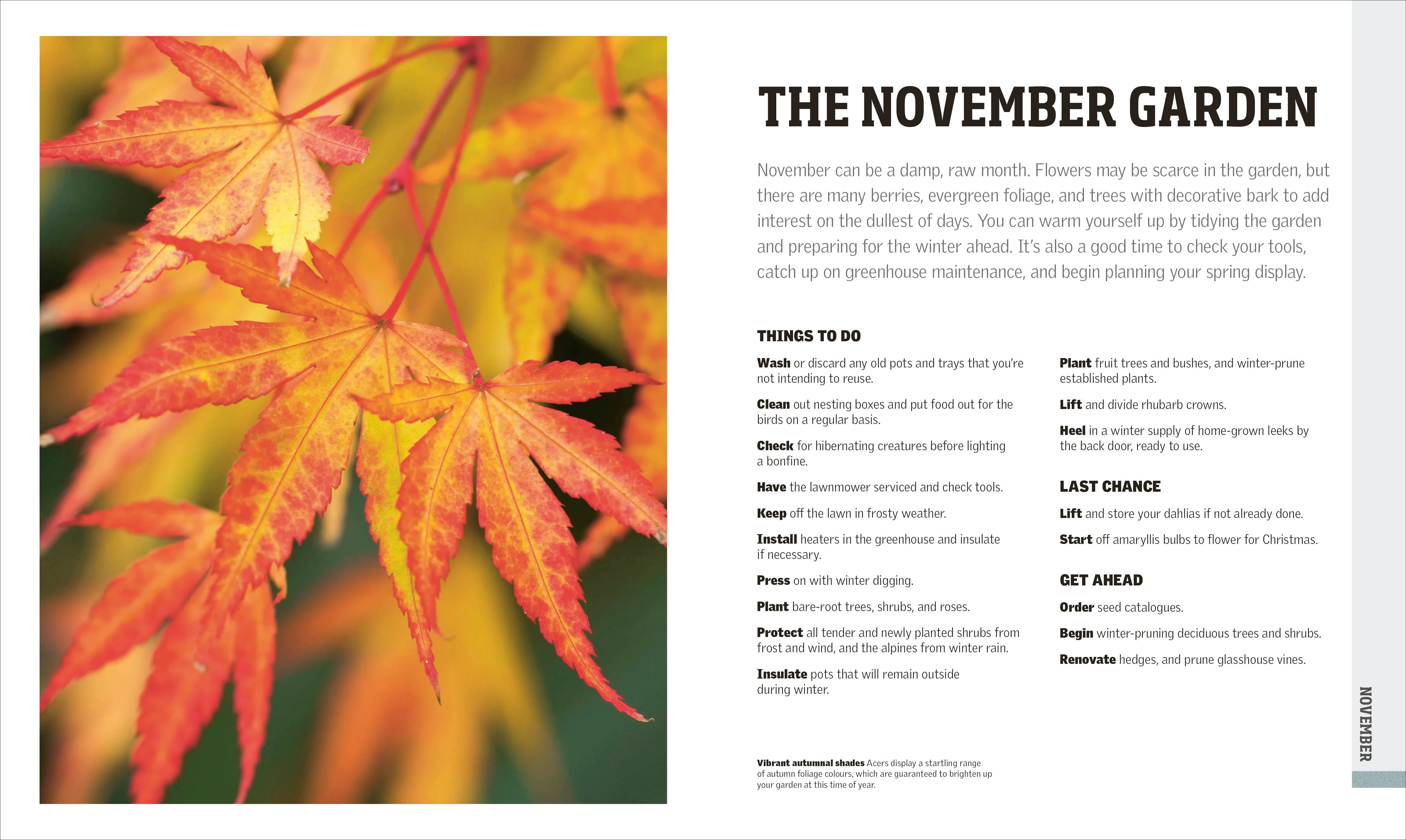RHS Gardening Through the Year - Image 7