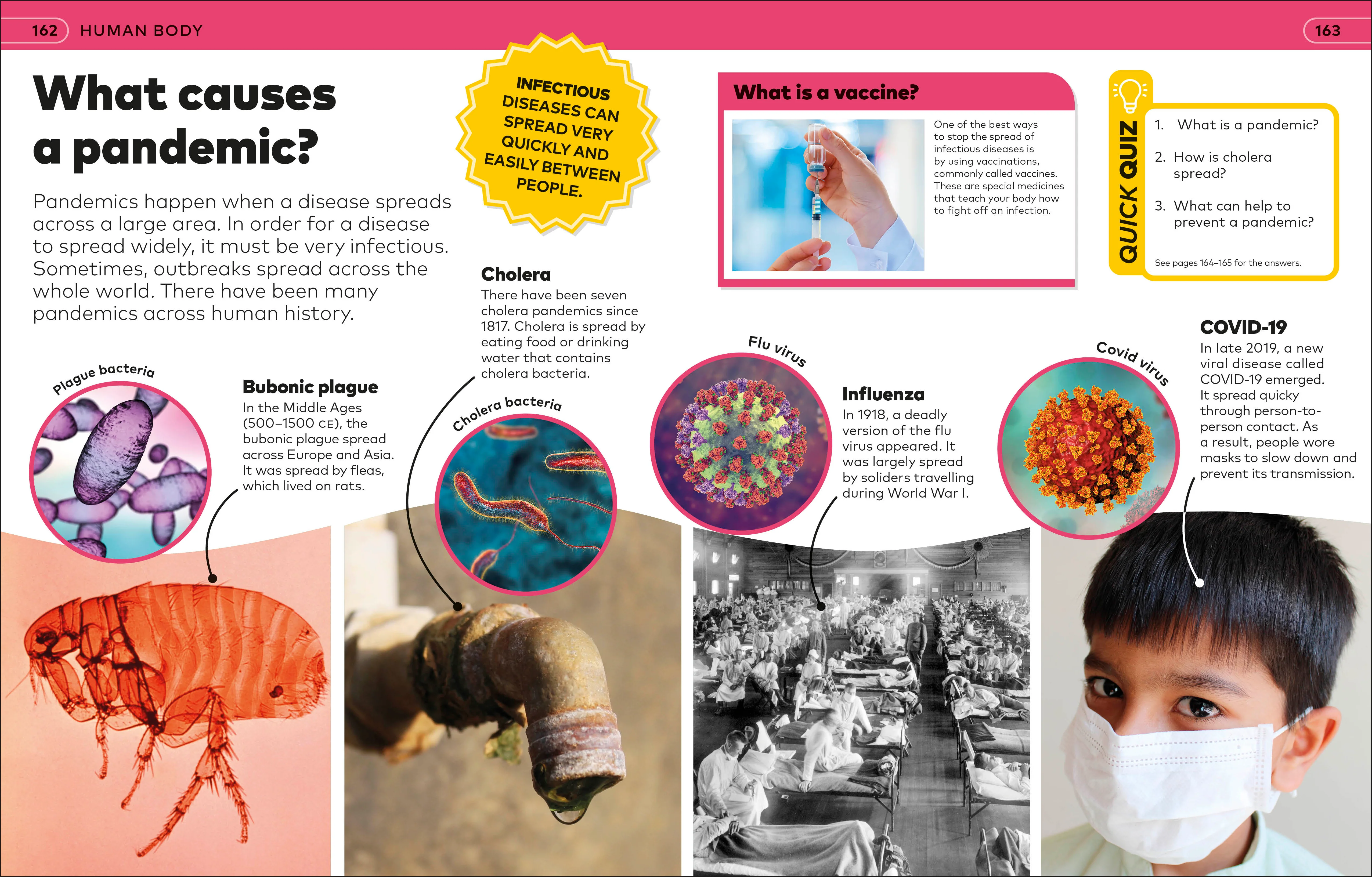 Why? Encyclopedia - Image 5