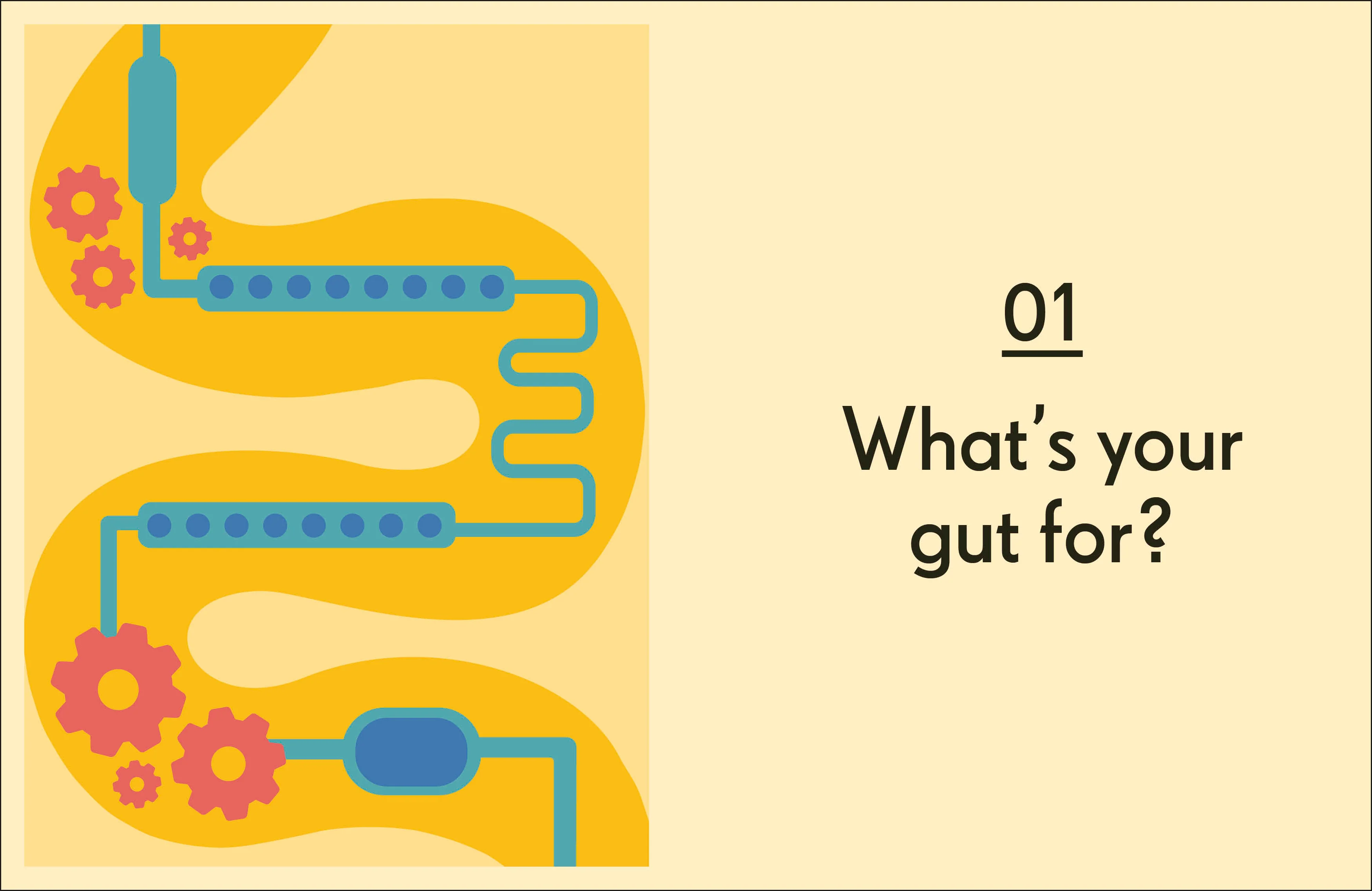 Gut - Image 3