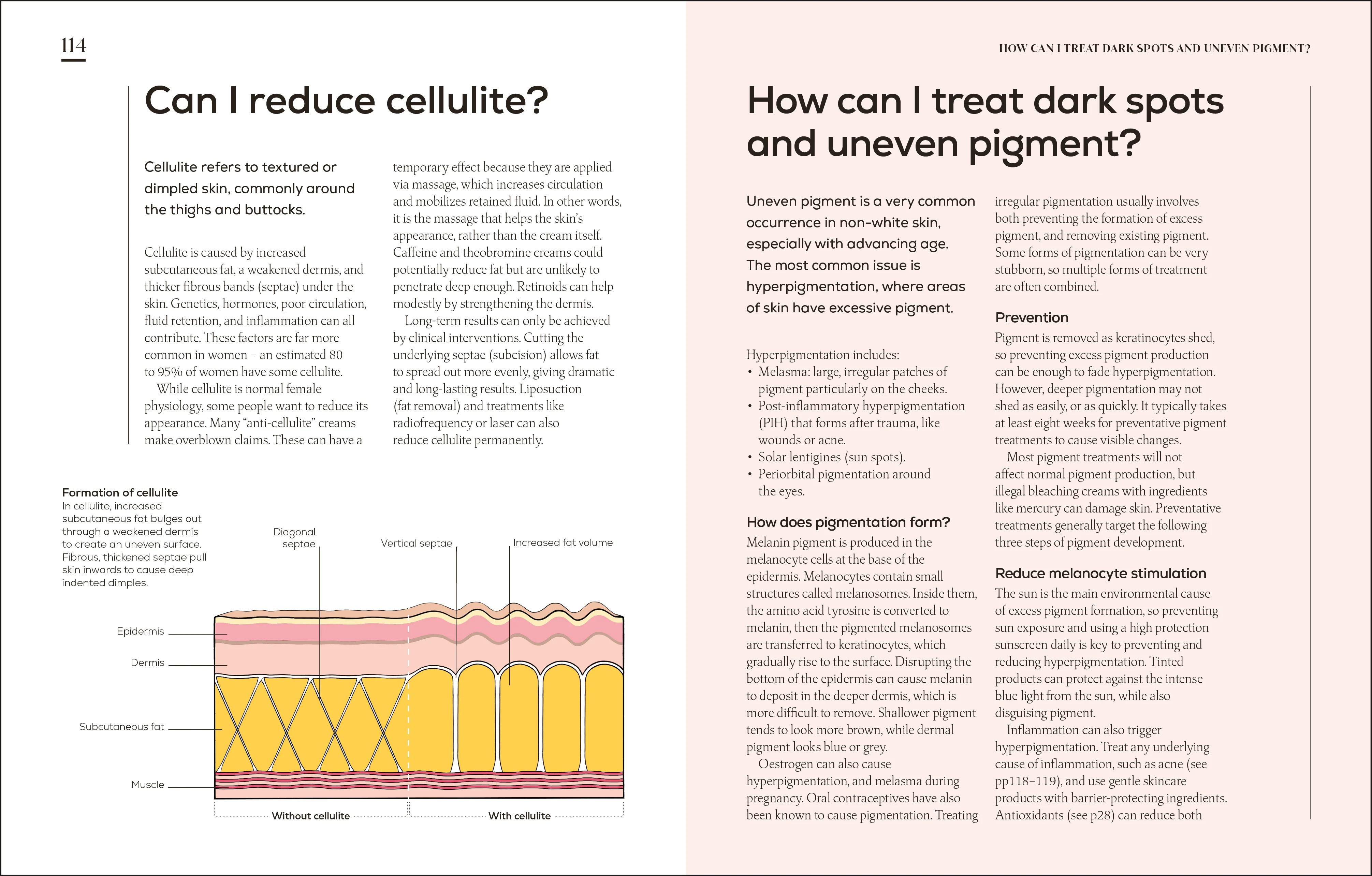 The Science of Beauty - Image 3