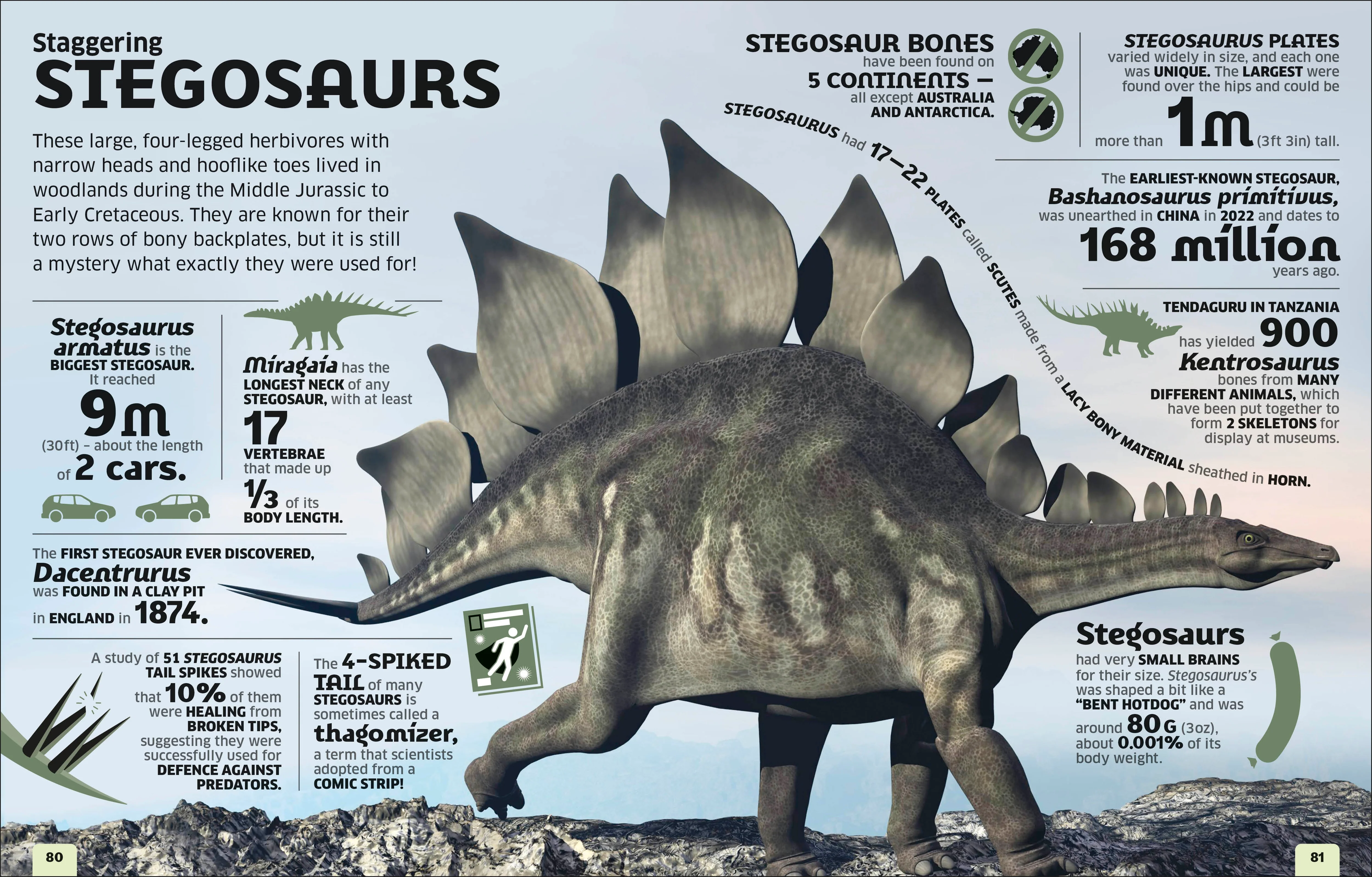 Our World in Numbers Dinosaurs and Other Prehistoric Life - Image 2