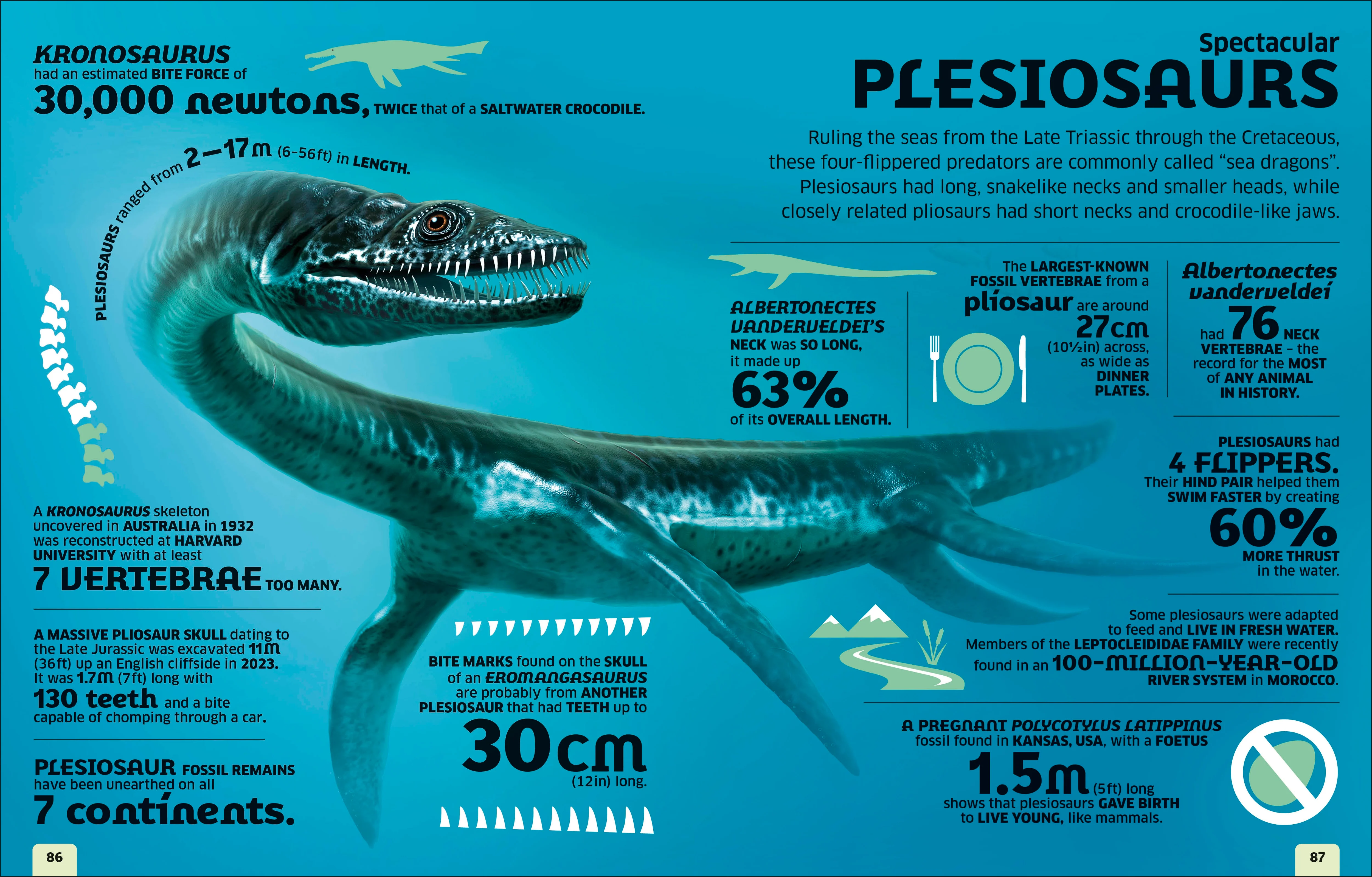Our World in Numbers Dinosaurs and Other Prehistoric Life - Image 3
