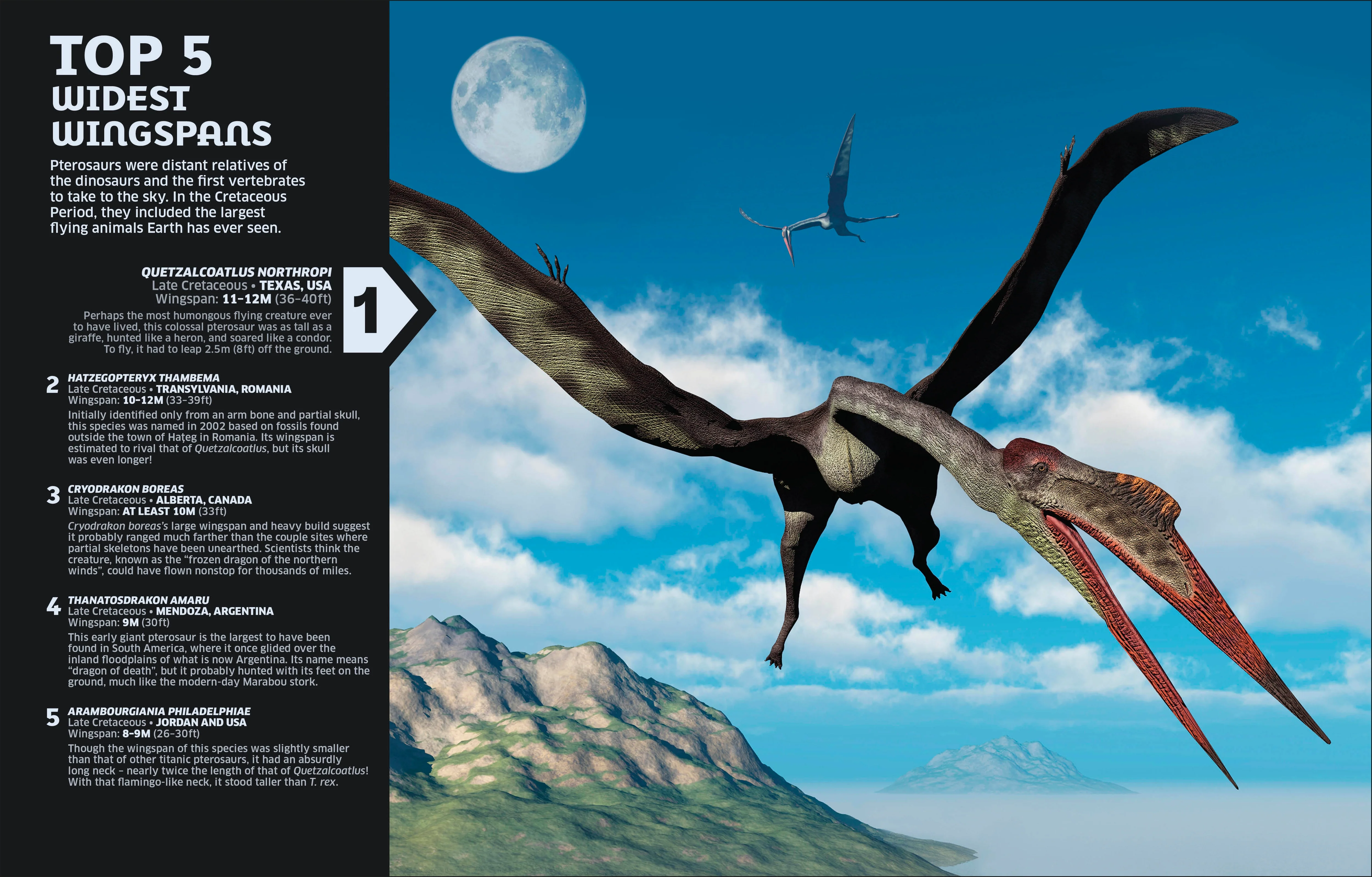 Our World in Numbers Dinosaurs and Other Prehistoric Life - Image 4