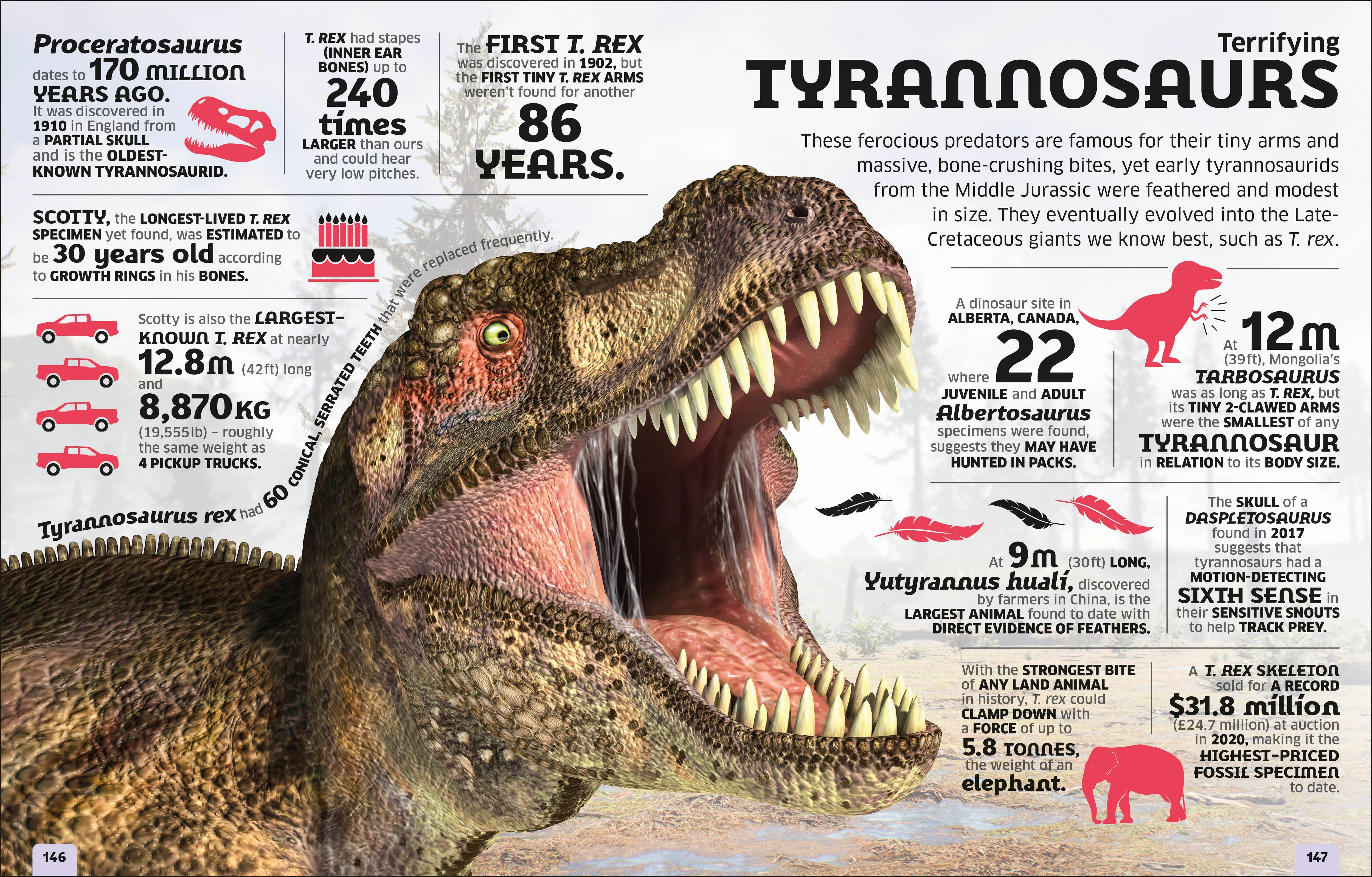 Our World in Numbers Dinosaurs and Other Prehistoric Life - Image 5