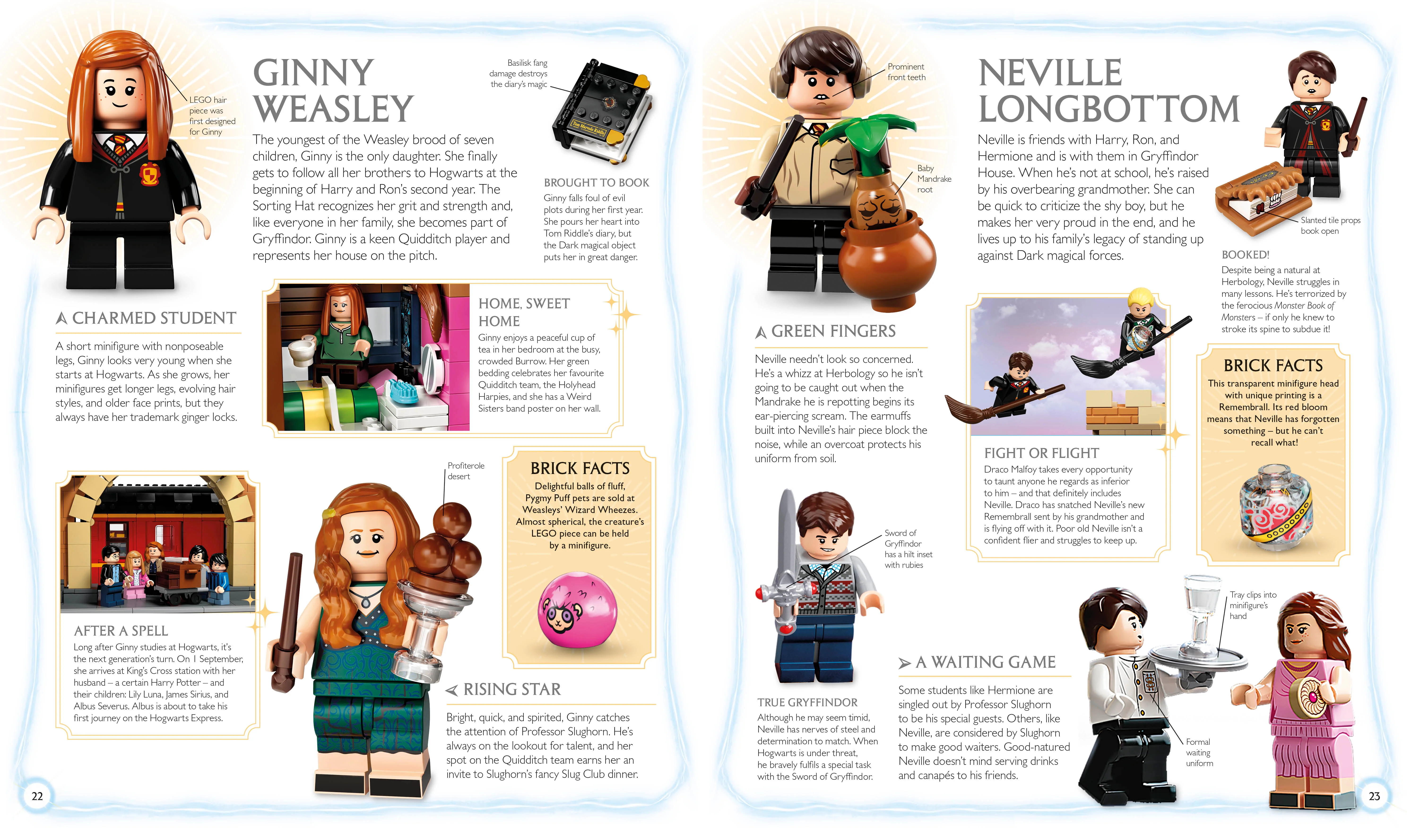 LEGO Harry Potter Visual Dictionary - Image 4