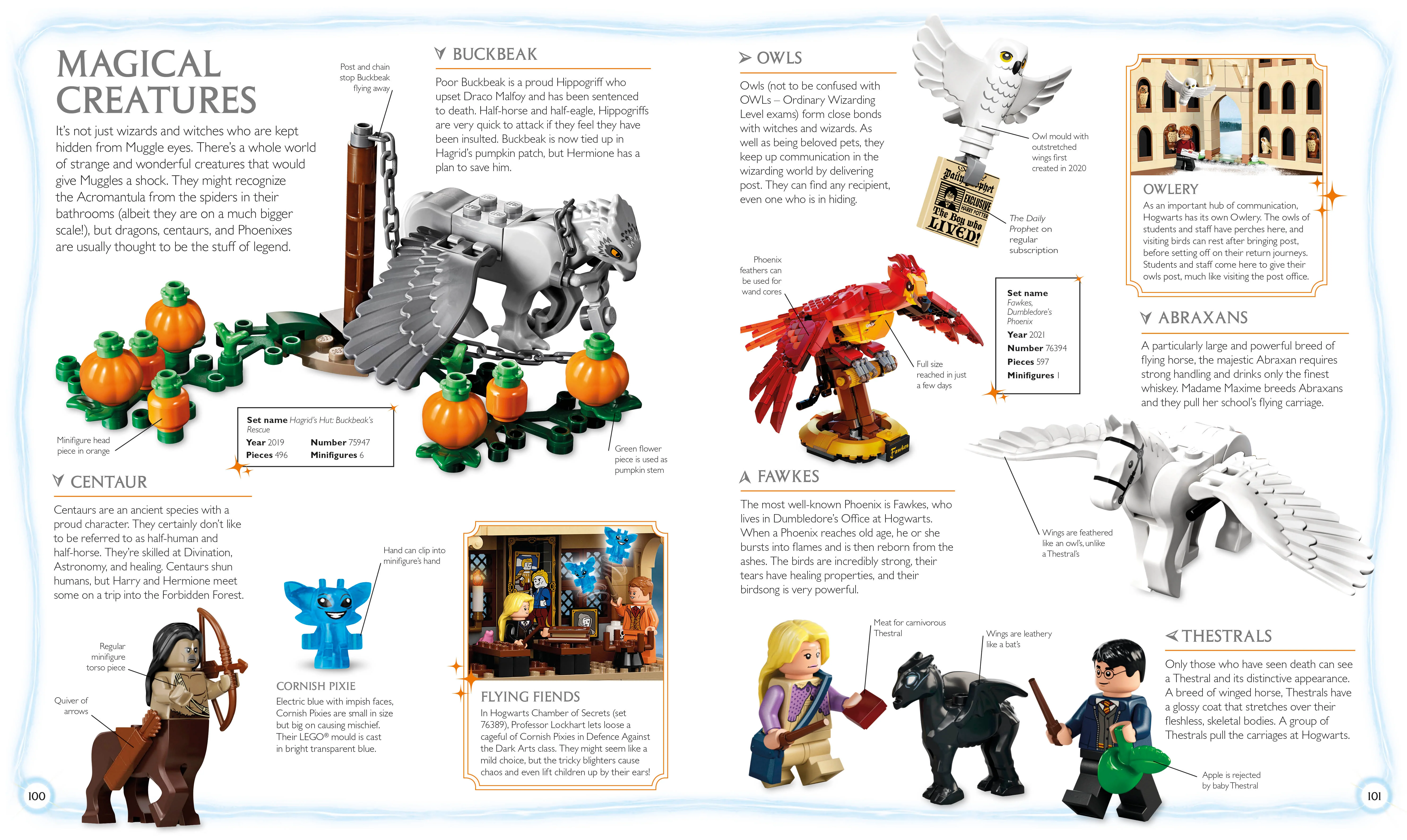 LEGO Harry Potter Visual Dictionary - Image 6