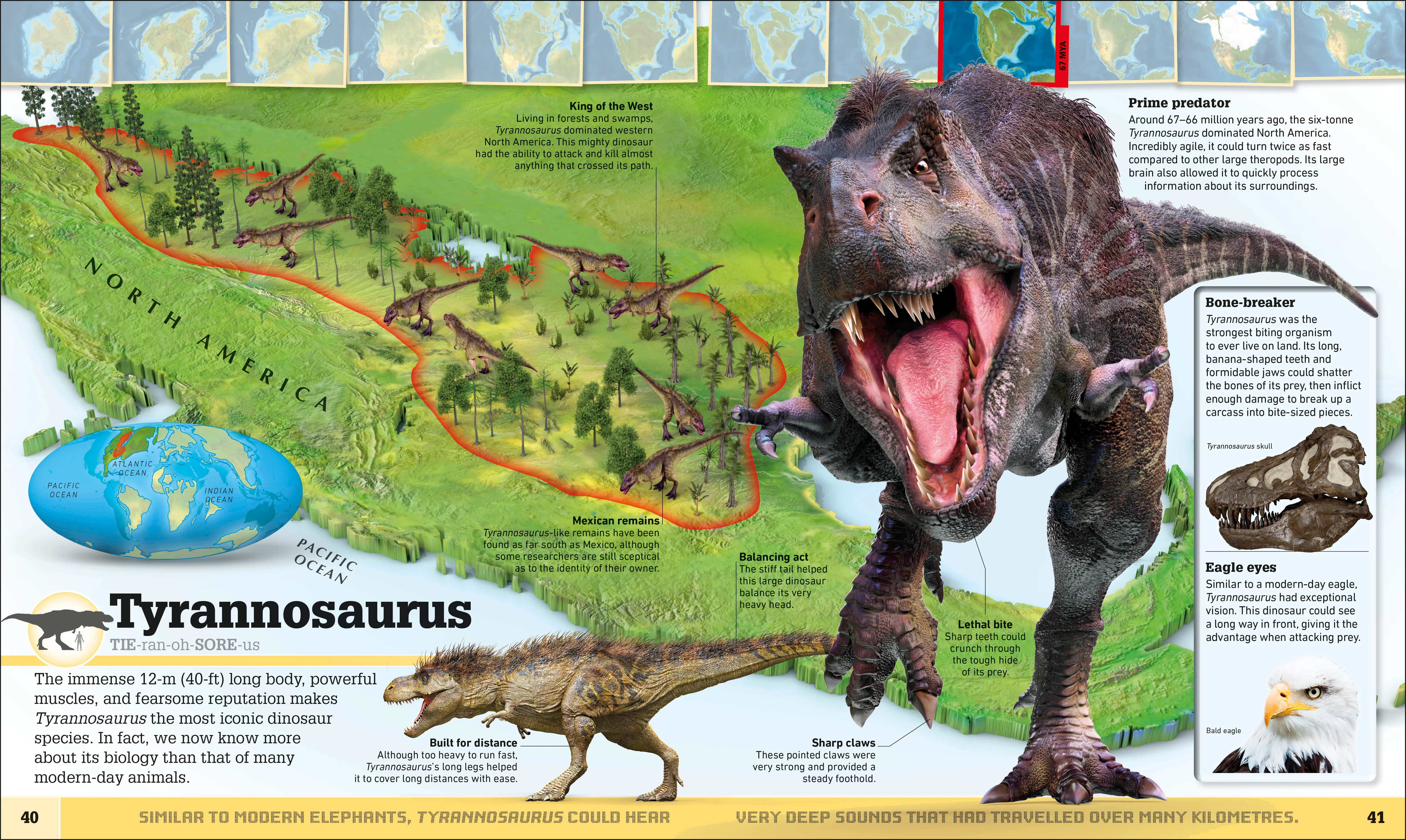 What's Where on Earth? Dinosaur Atlas - Image 3