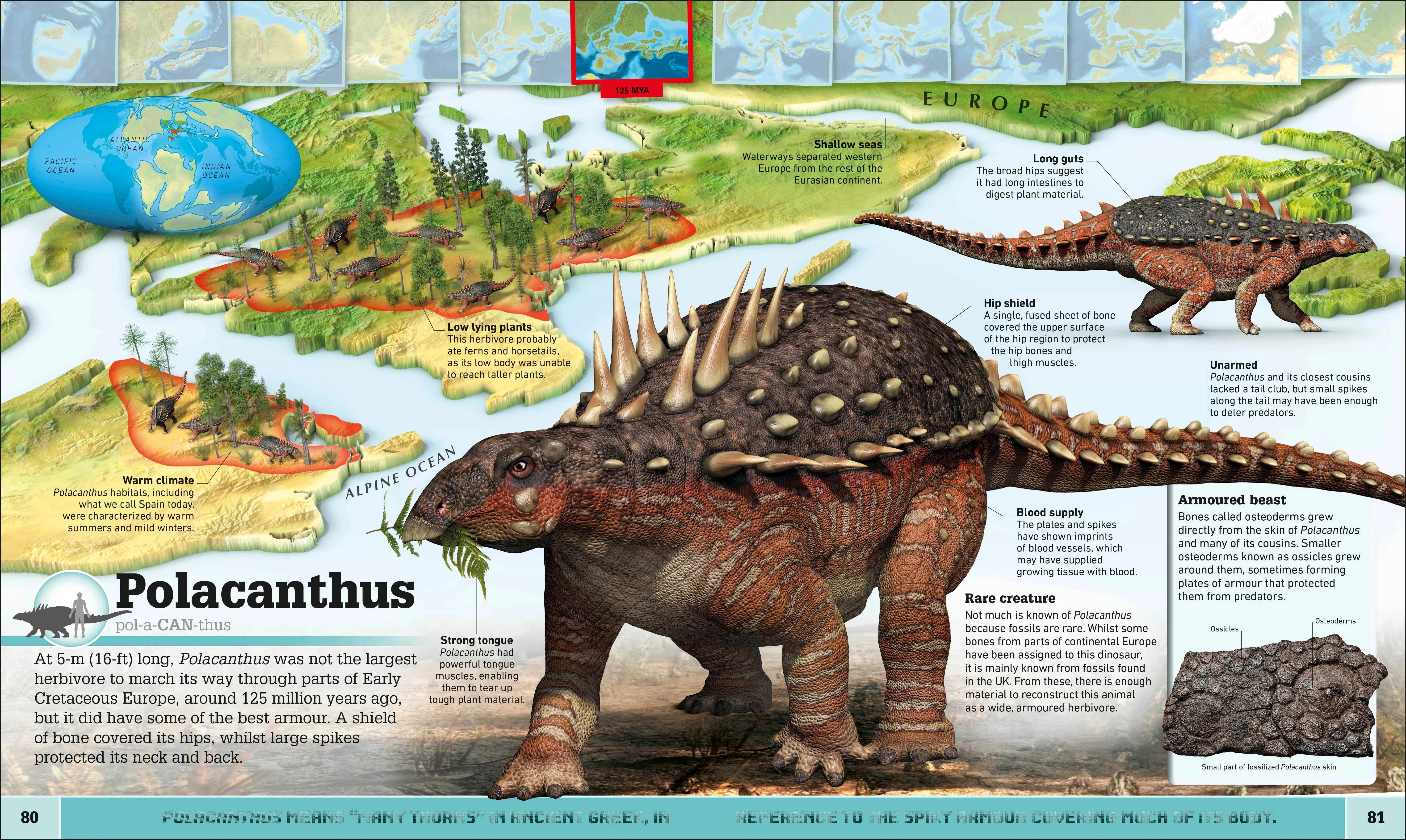 What's Where on Earth? Dinosaur Atlas - Image 4