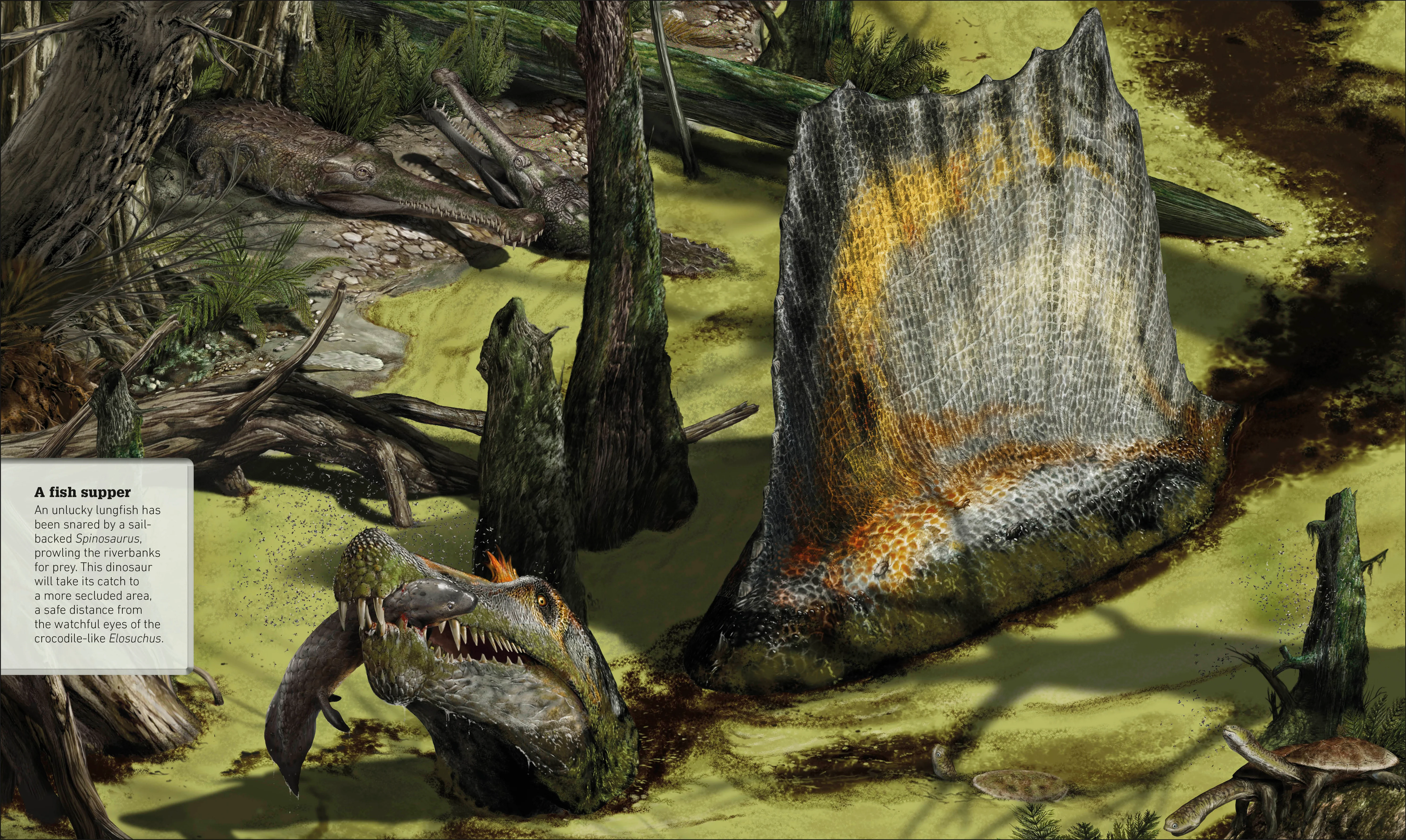 What's Where on Earth? Dinosaur Atlas - Image 5