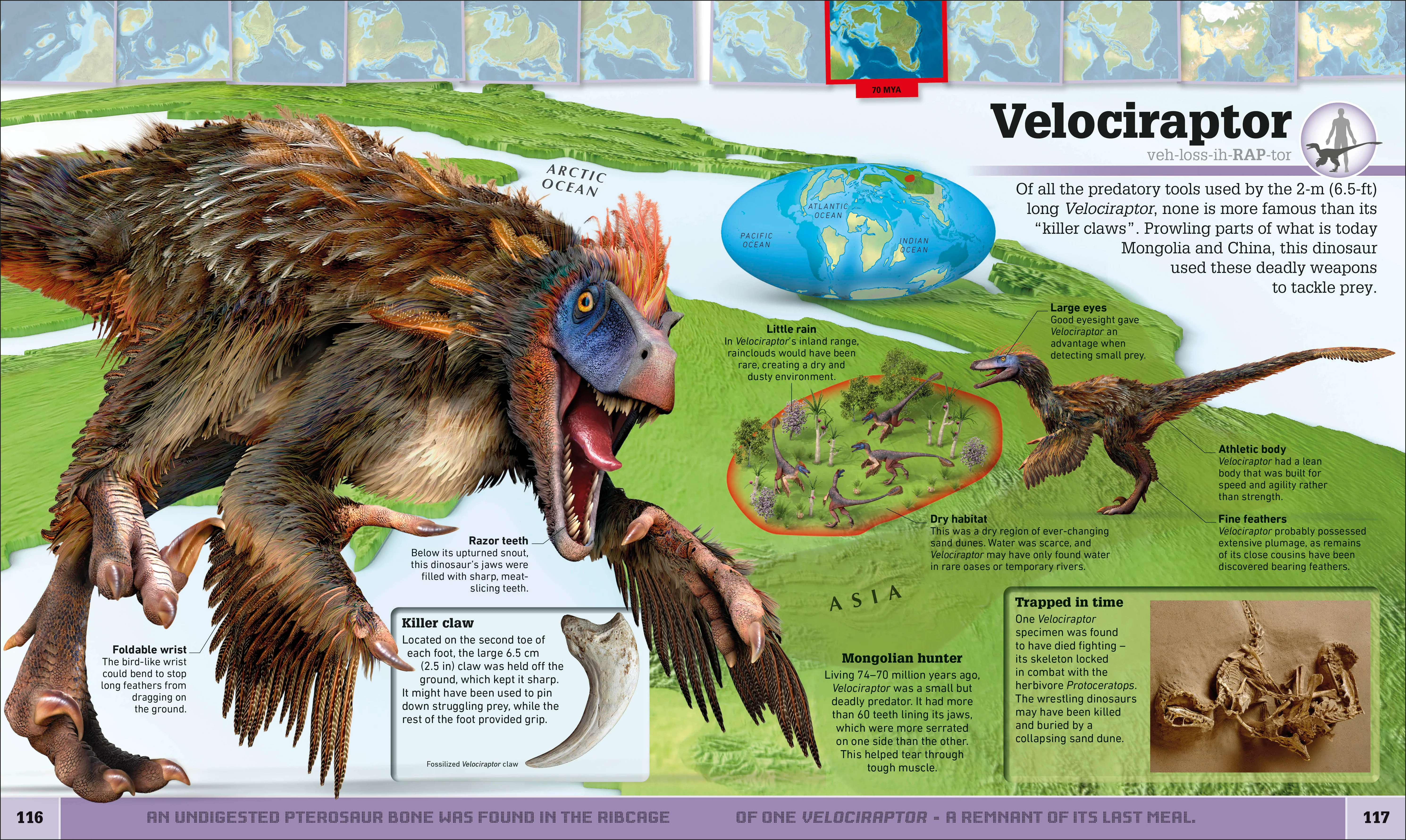 What's Where on Earth? Dinosaur Atlas - Image 6