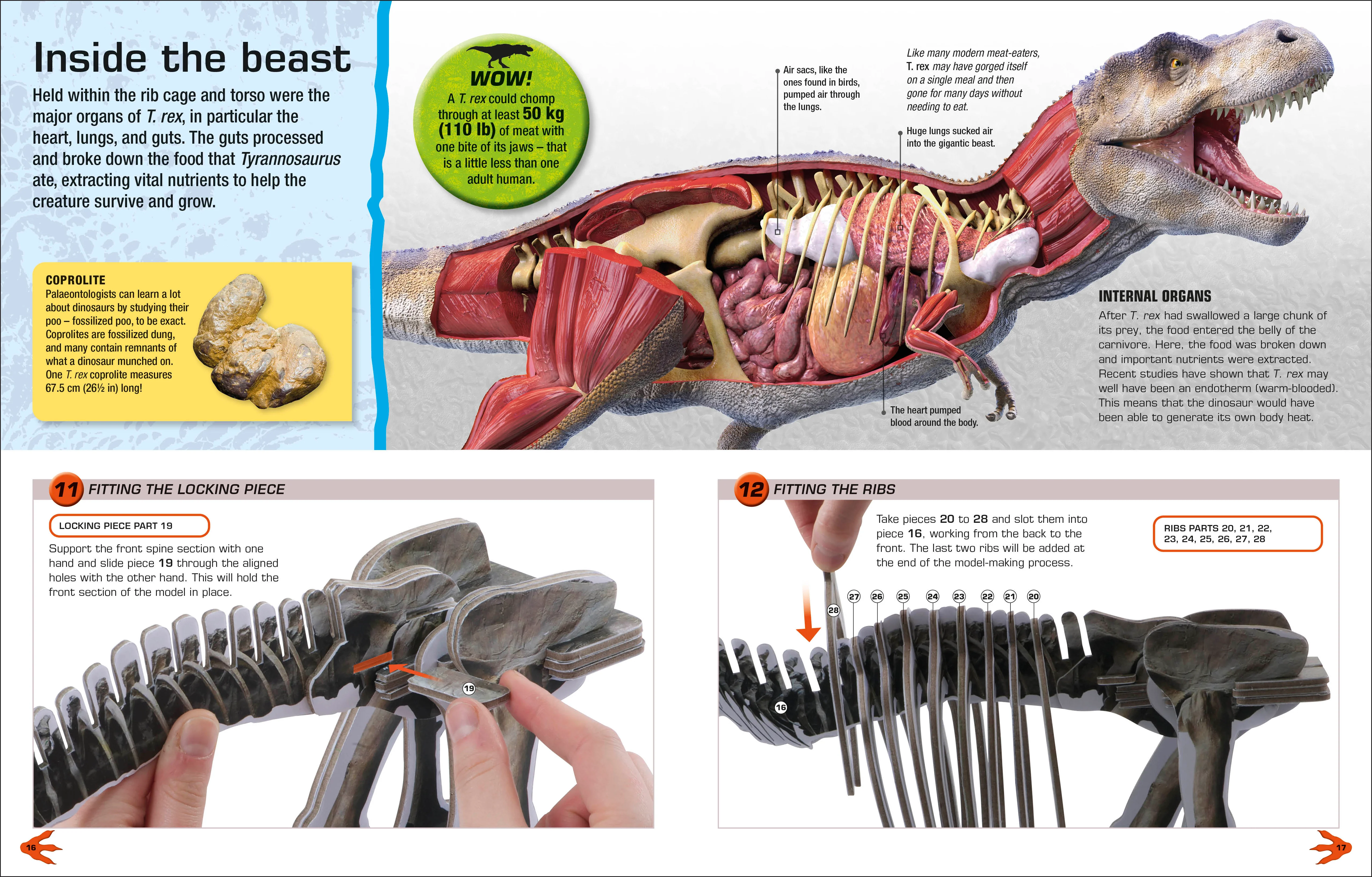Make Your Own T. Rex - Image 4