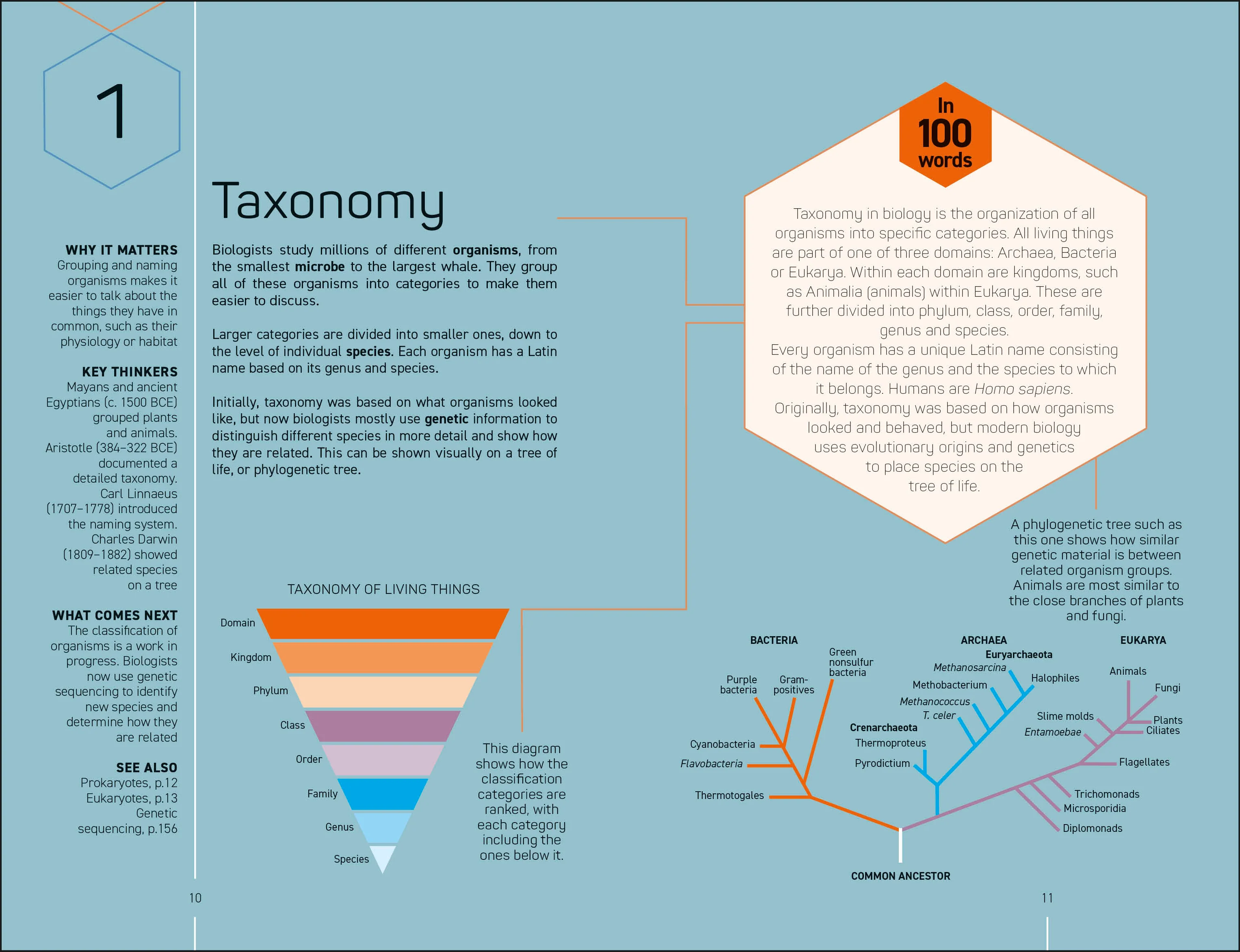 The Science Museum Biology 100 Ideas in 100 Words - Image 3