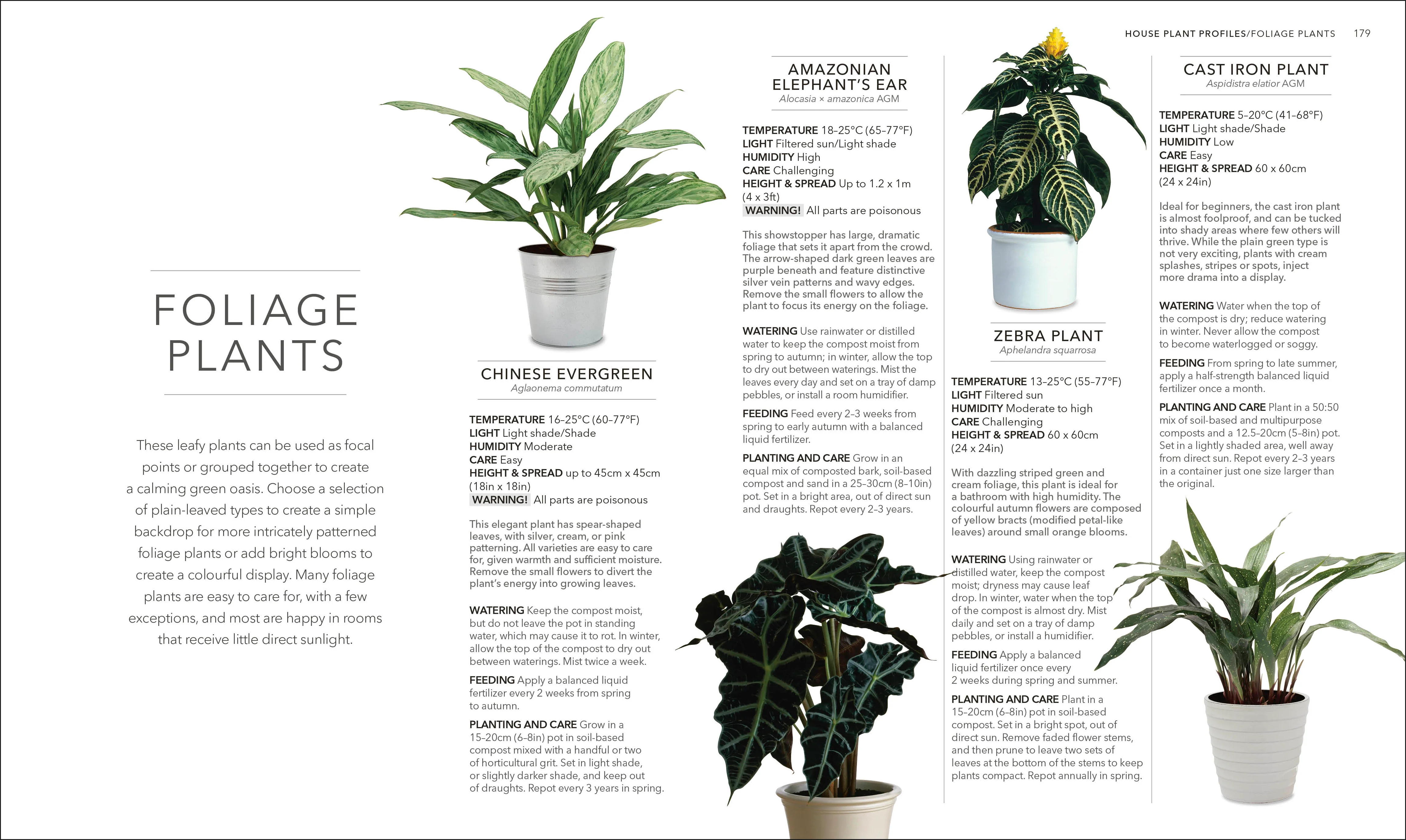 RHS House Plant - Image 5