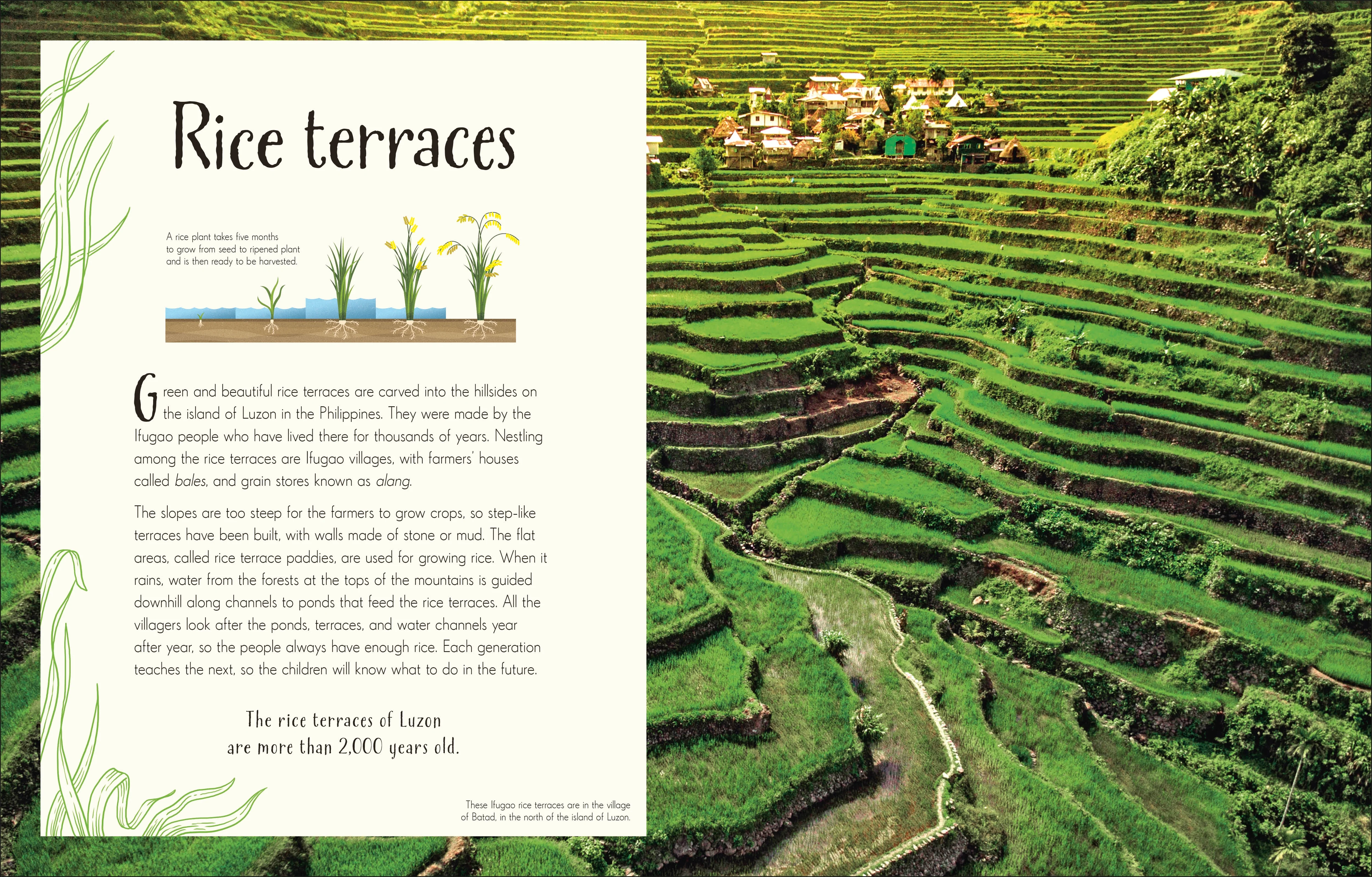 An Anthology of Our Extraordinary Earth - Image 7