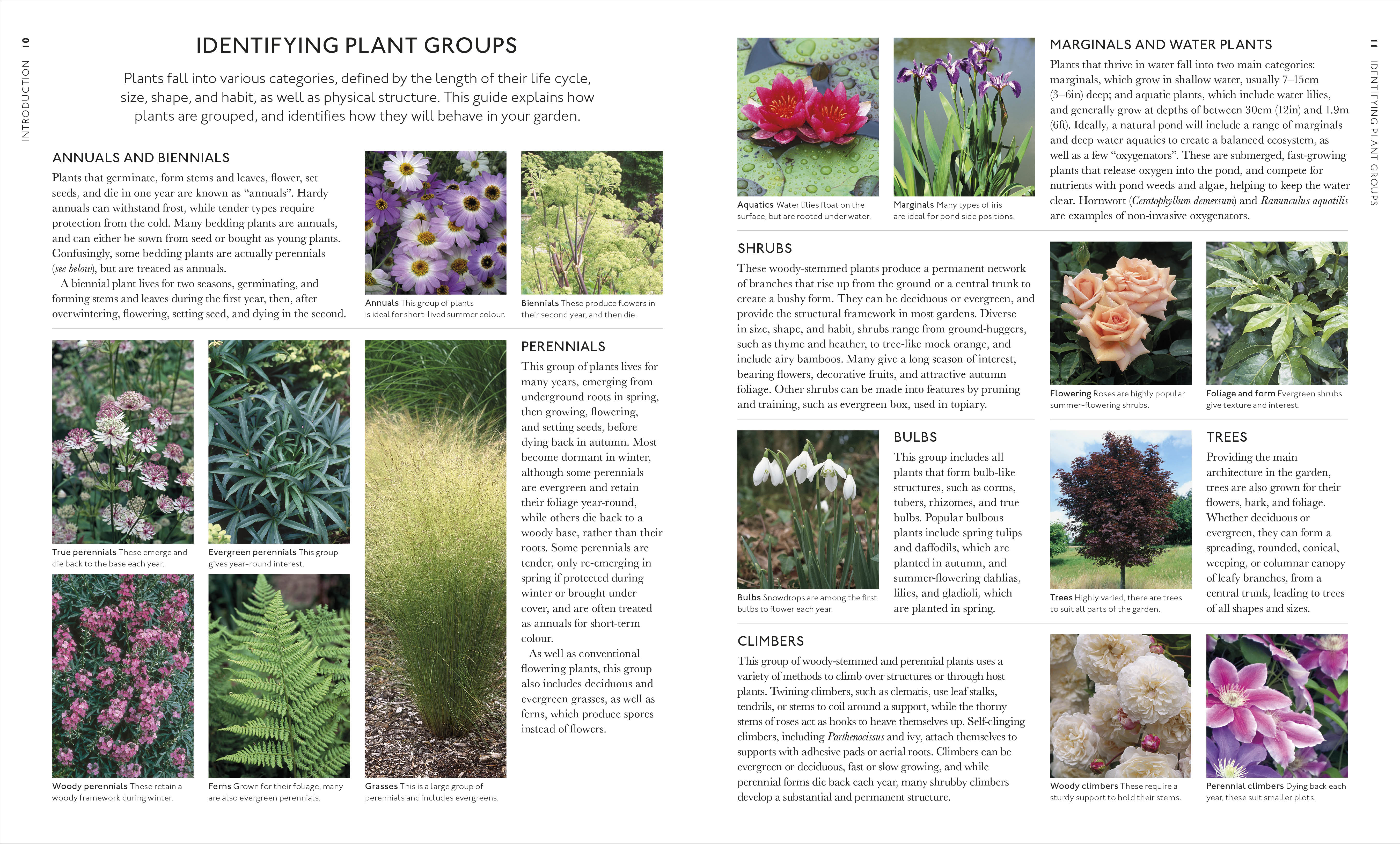 RHS What Plant Where Encyclopedia - Image 3