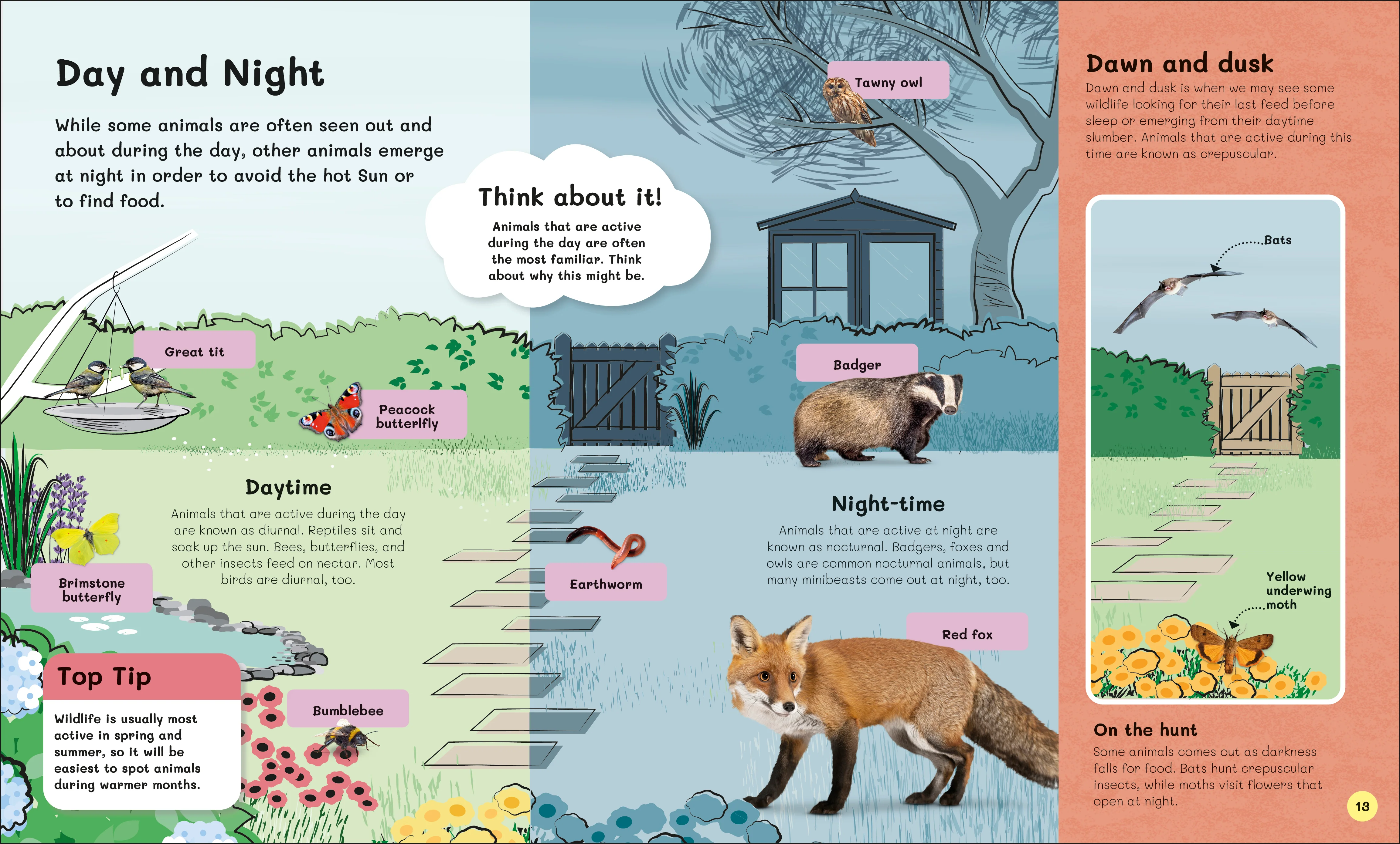 The Children's Book of Wildlife Watching - Image 2