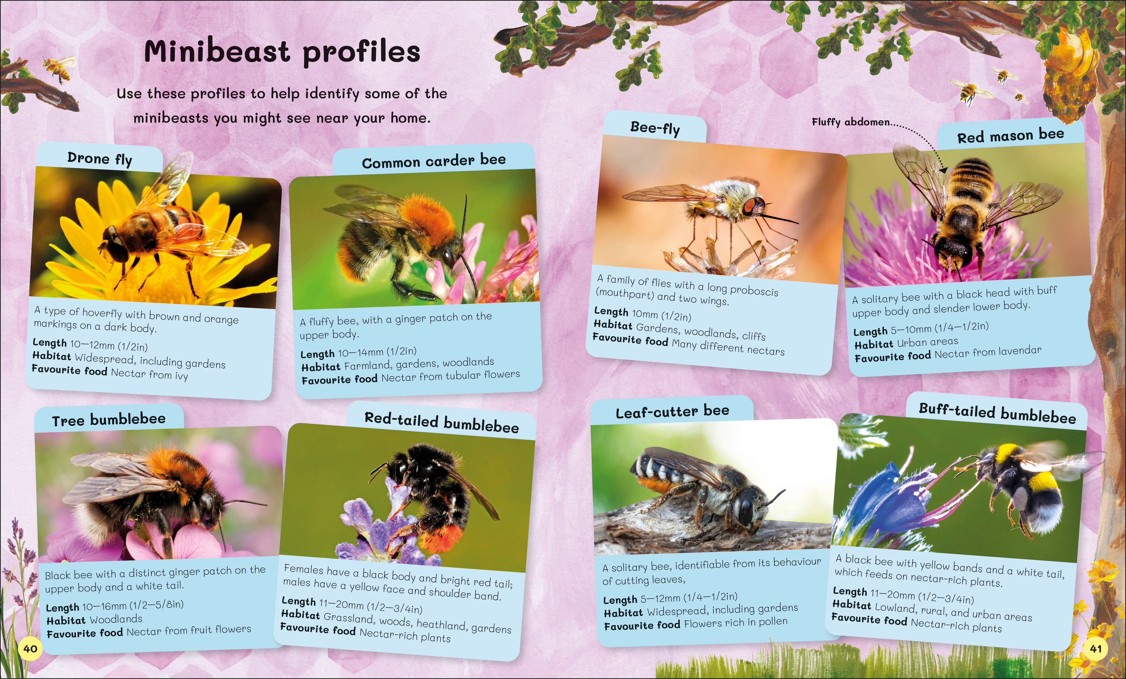 The Children's Book of Wildlife Watching - Image 3