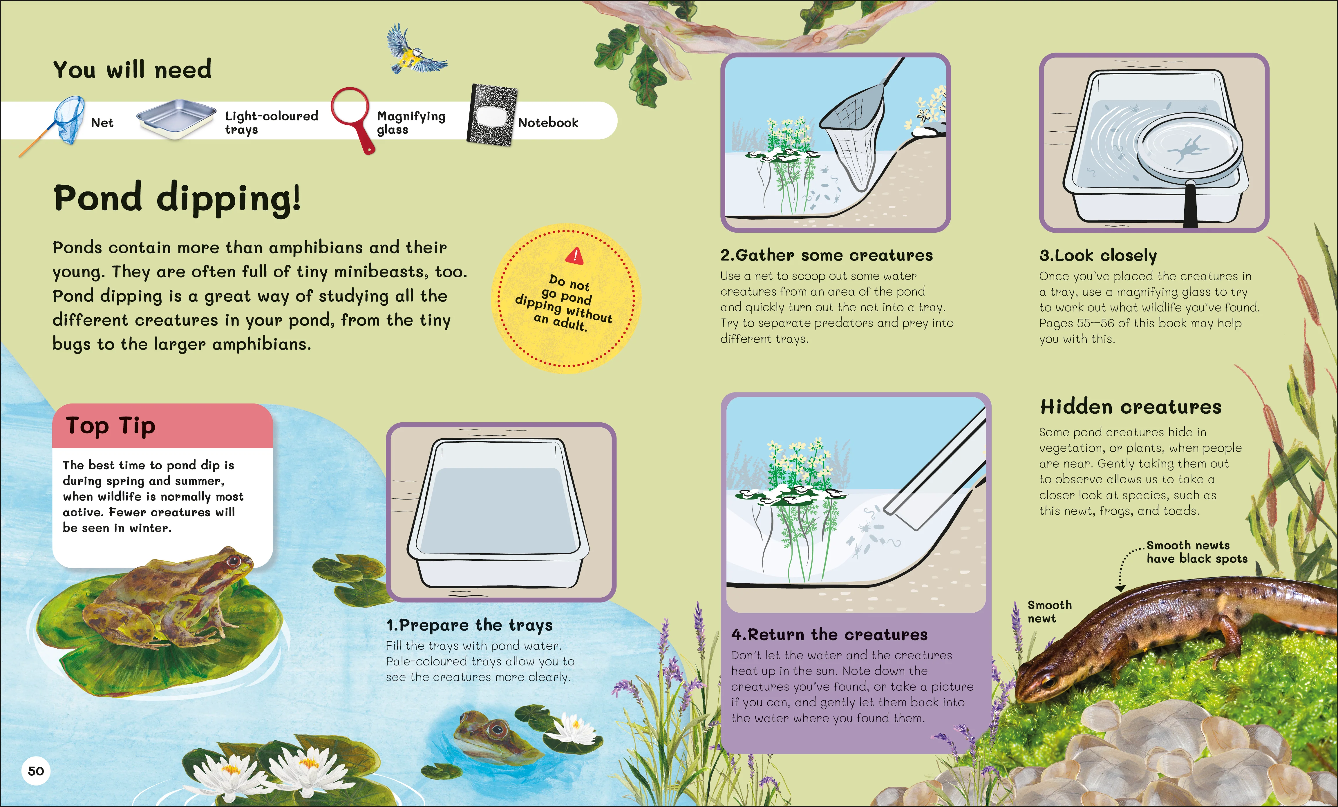 The Children's Book of Wildlife Watching - Image 4