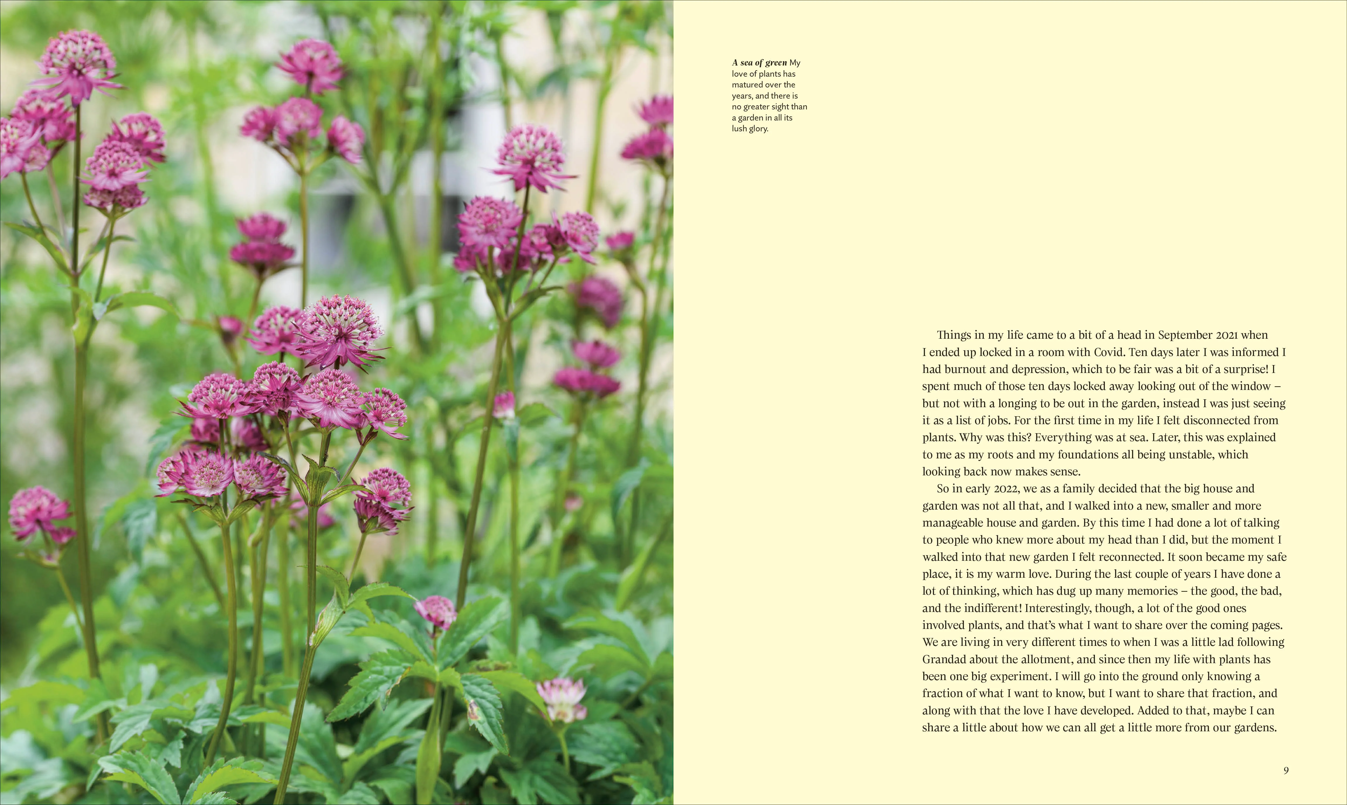For the Love of Plants - Image 4
