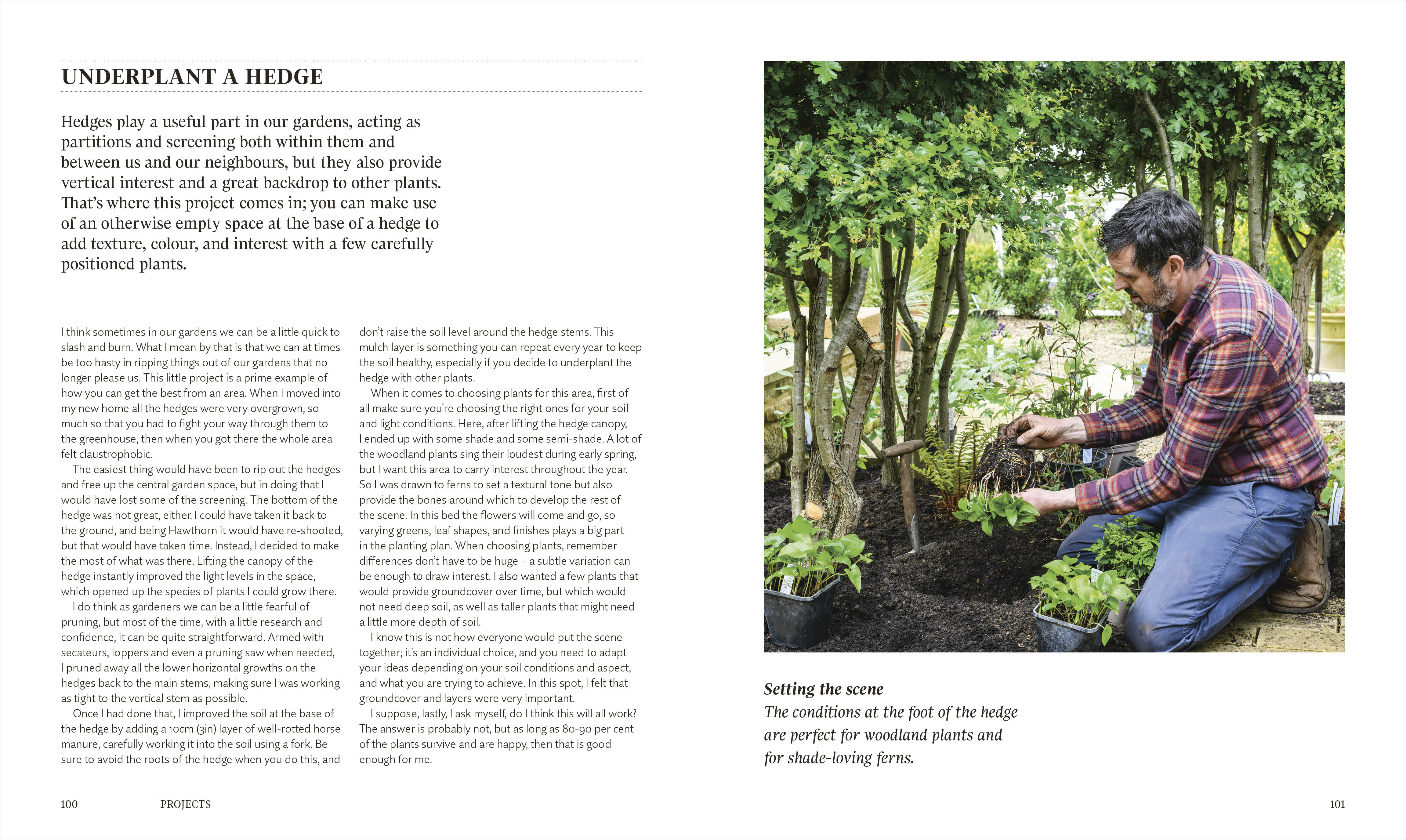 For the Love of Plants - Image 5