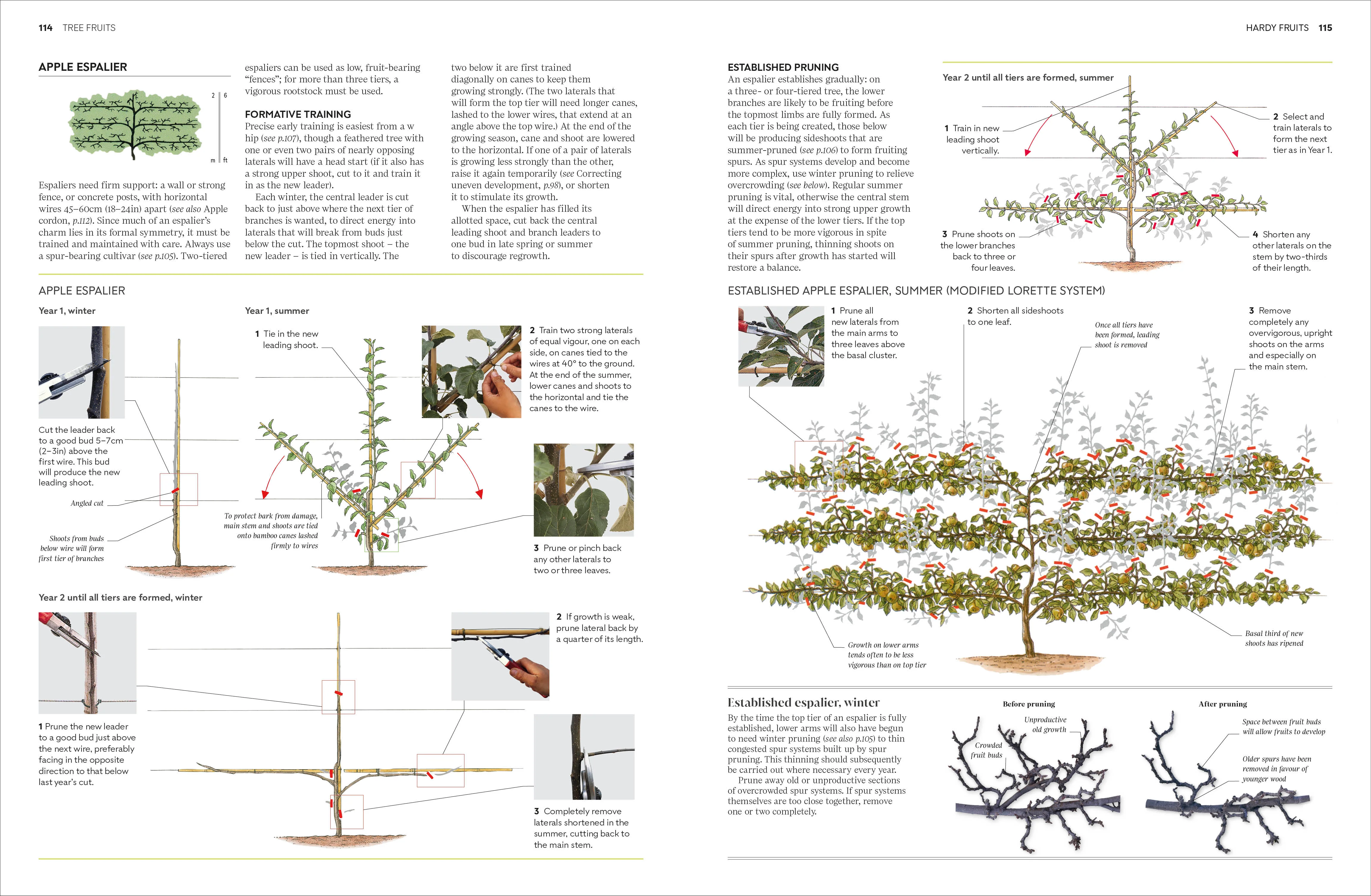 RHS Pruning and Training - Image 5