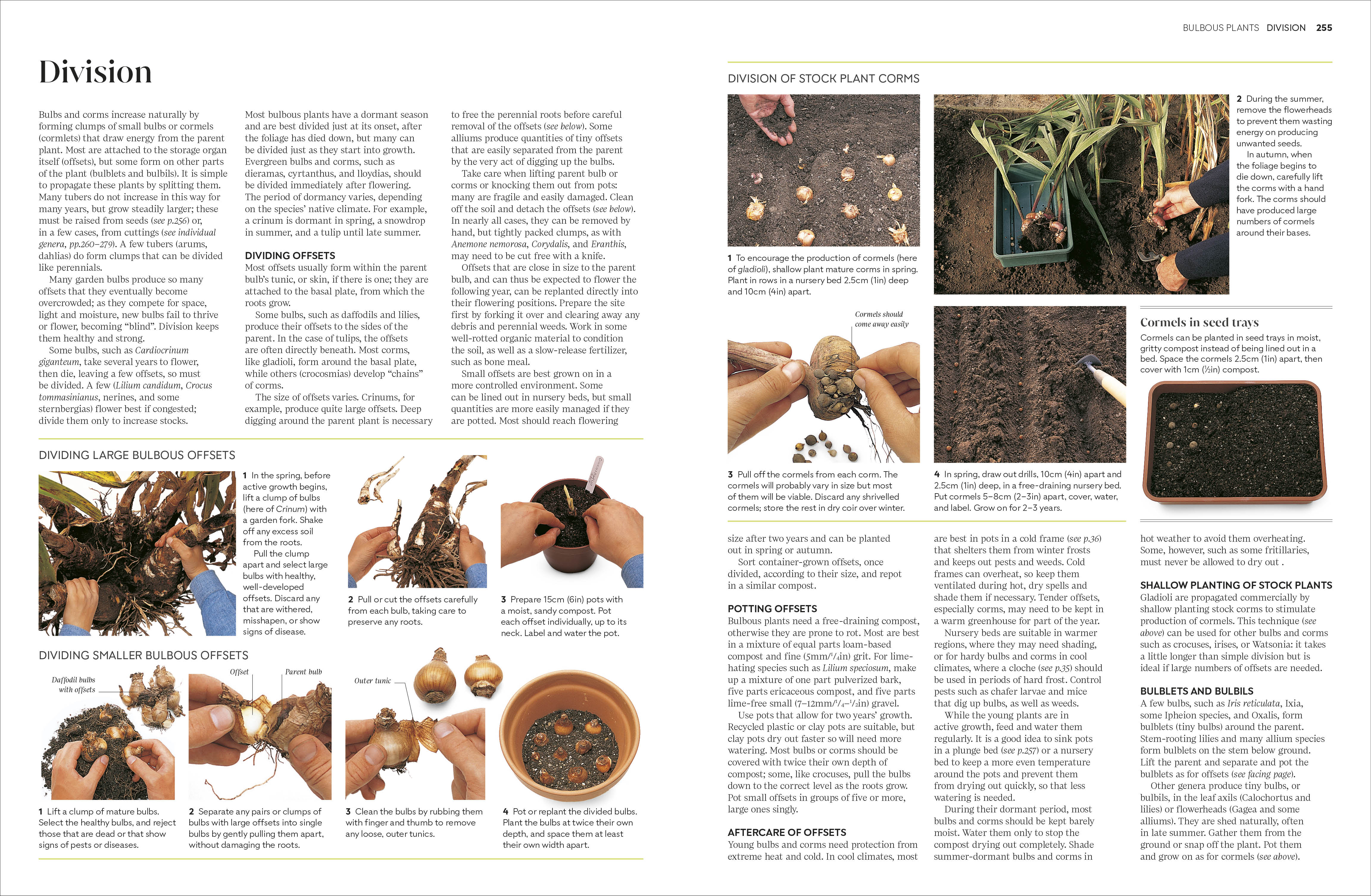 RHS Propagating Plants - Image 5