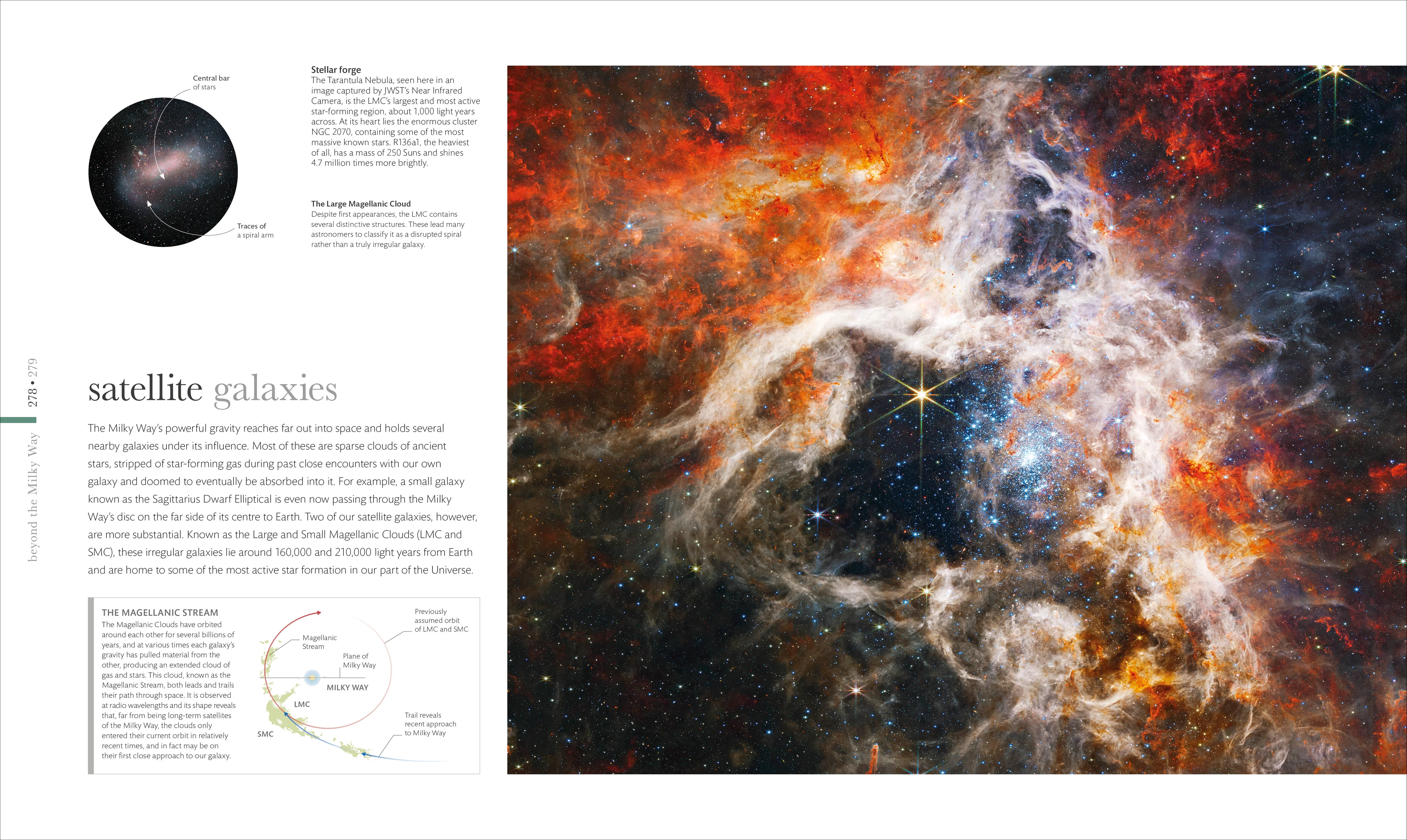 Cosmos - Image 12
