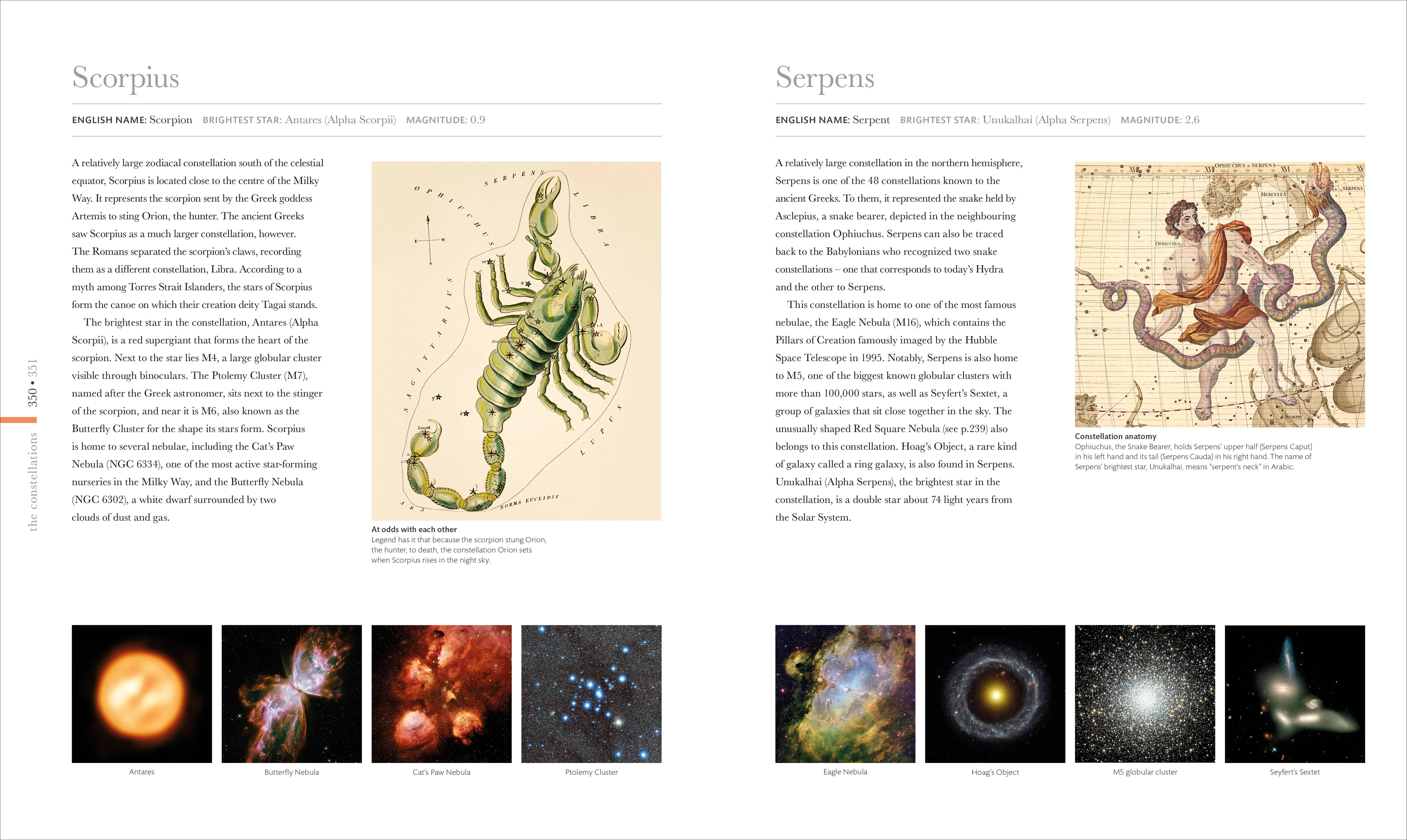 Cosmos - Image 14