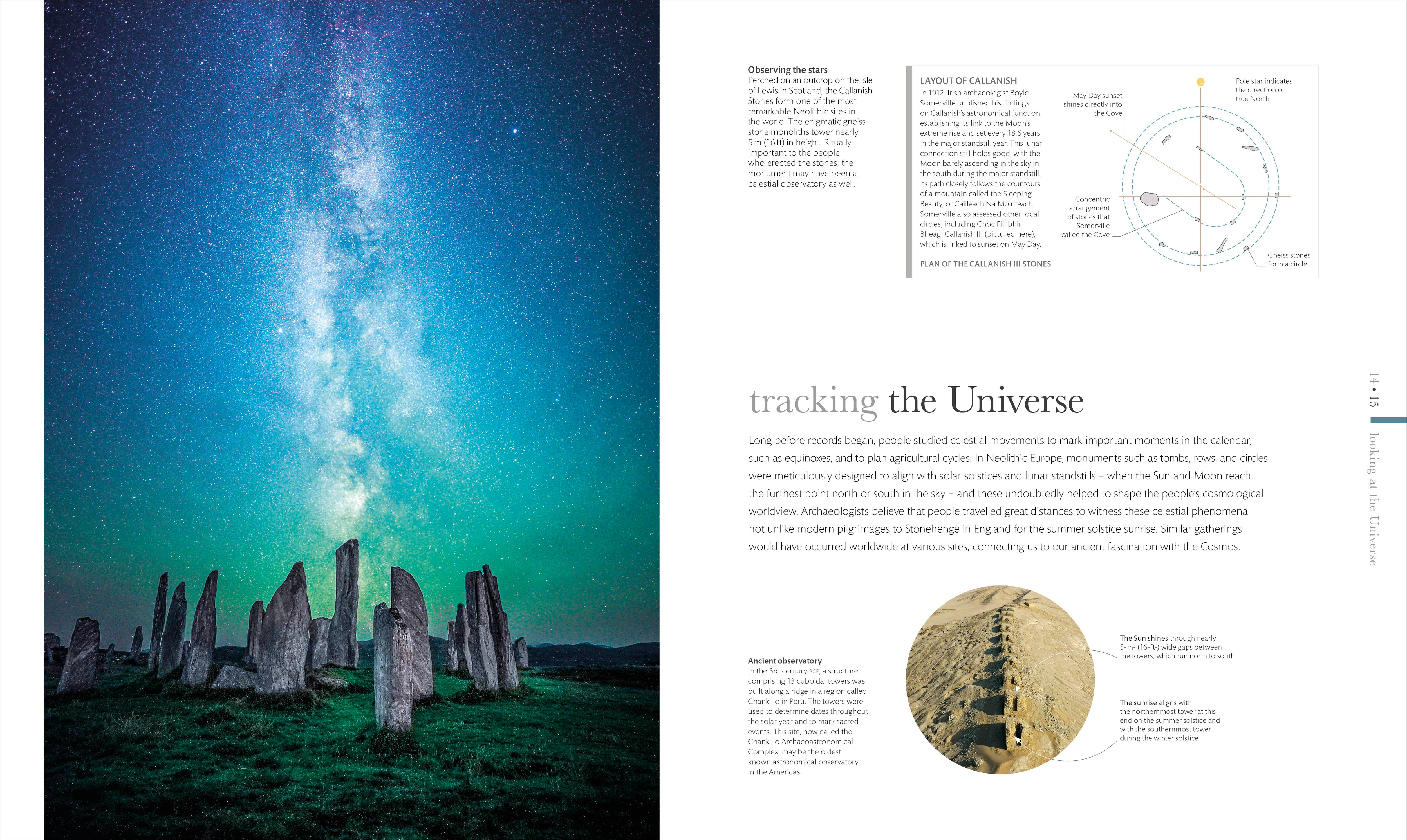 Cosmos - Image 2