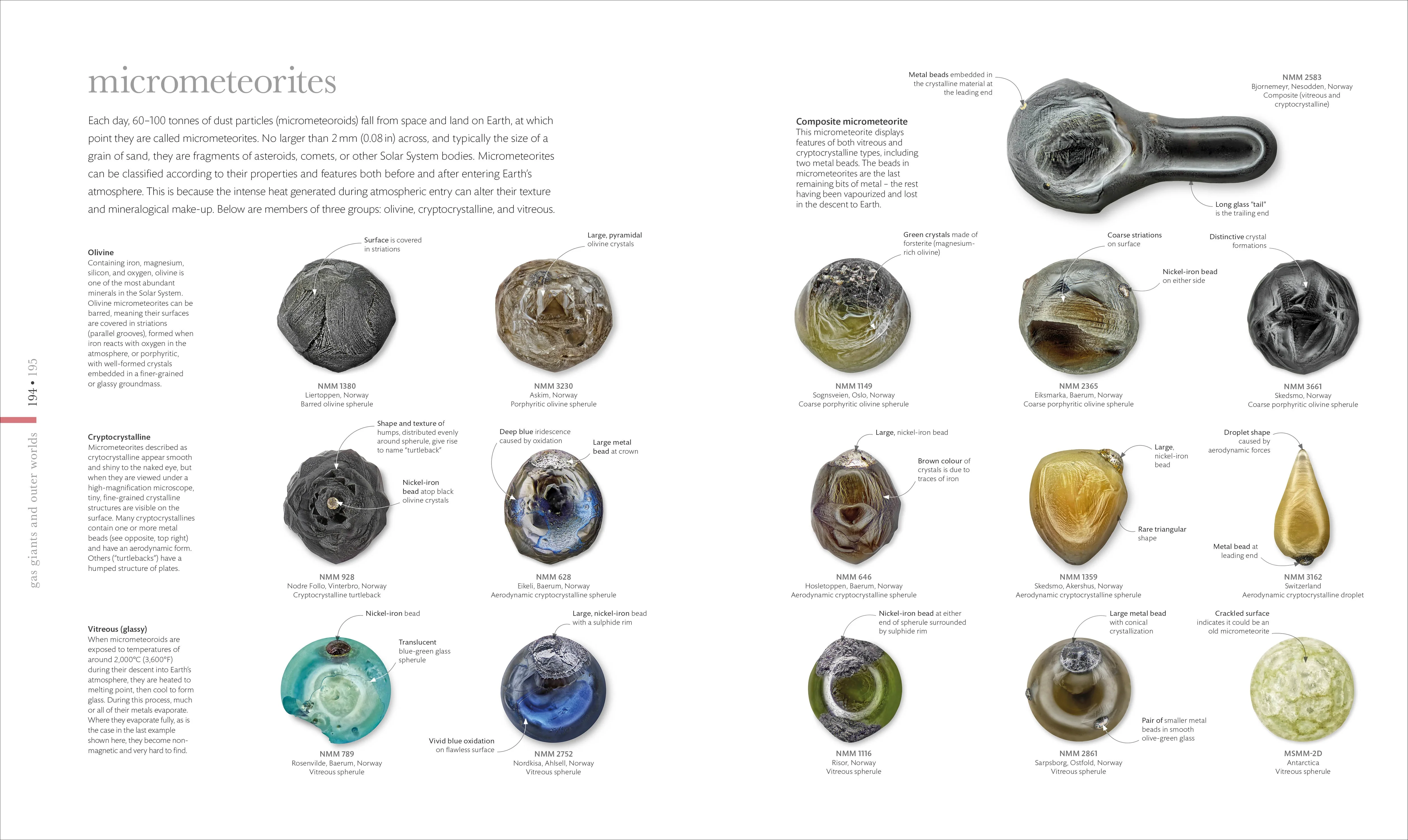 Cosmos - Image 6
