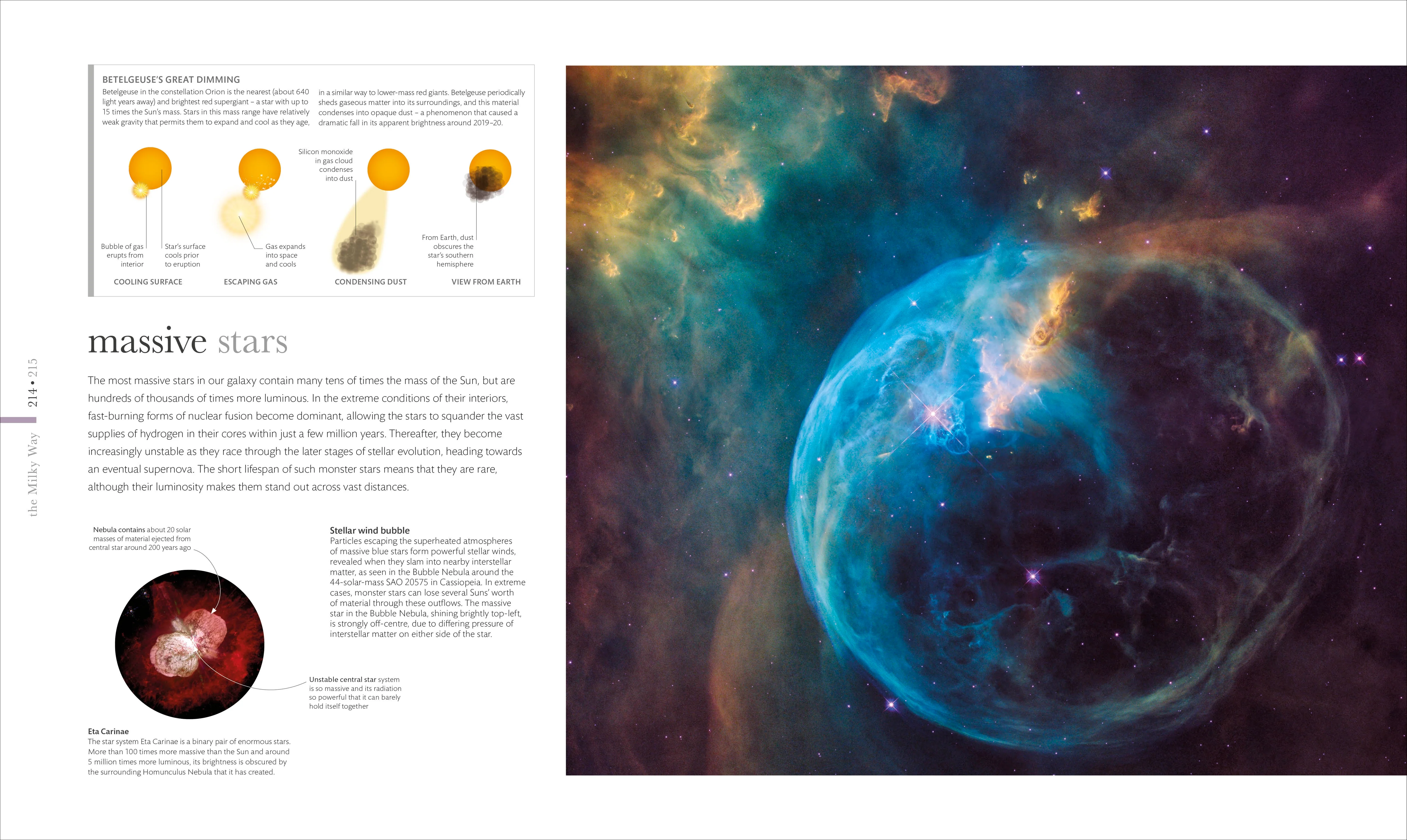Cosmos - Image 7