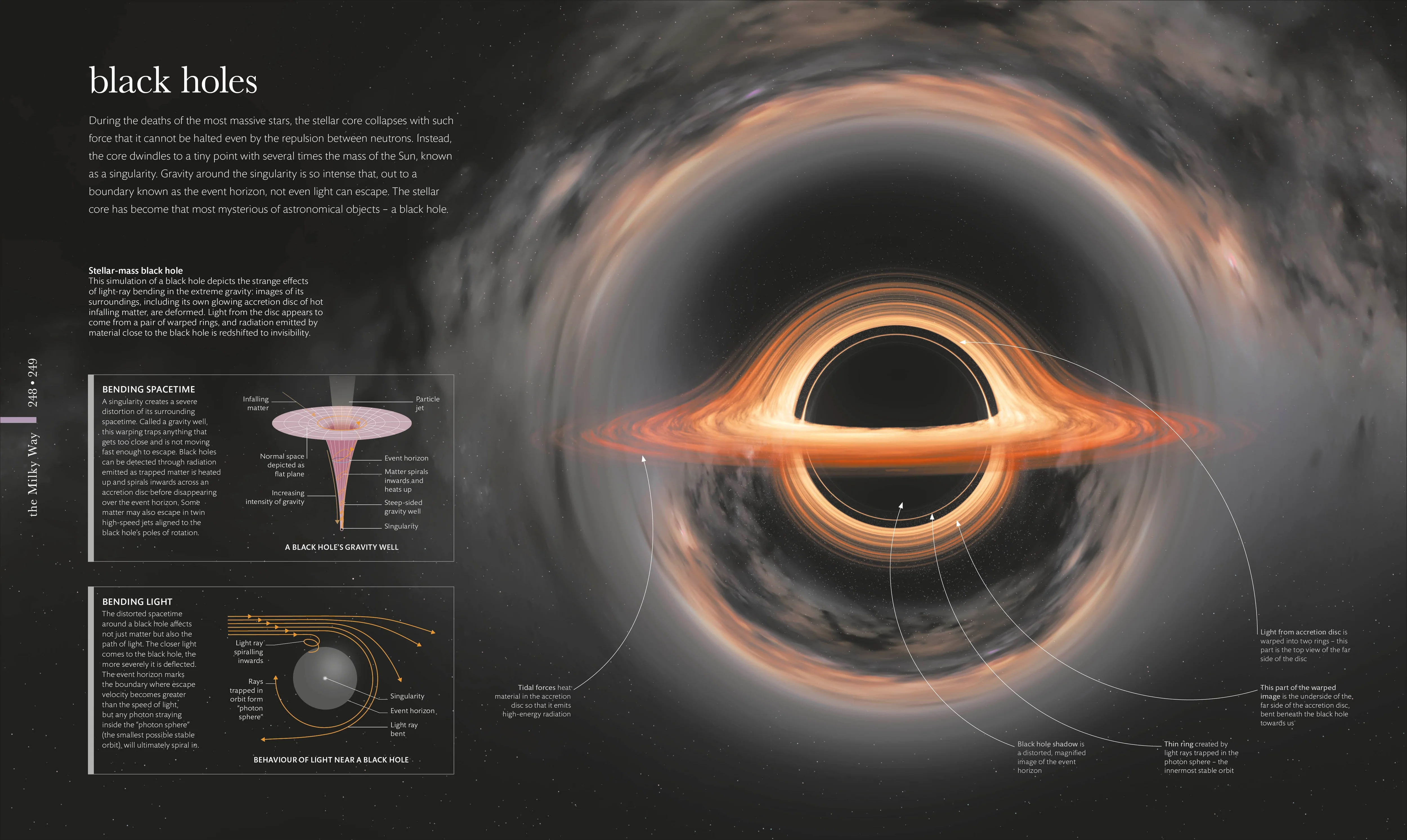 Cosmos - Image 8