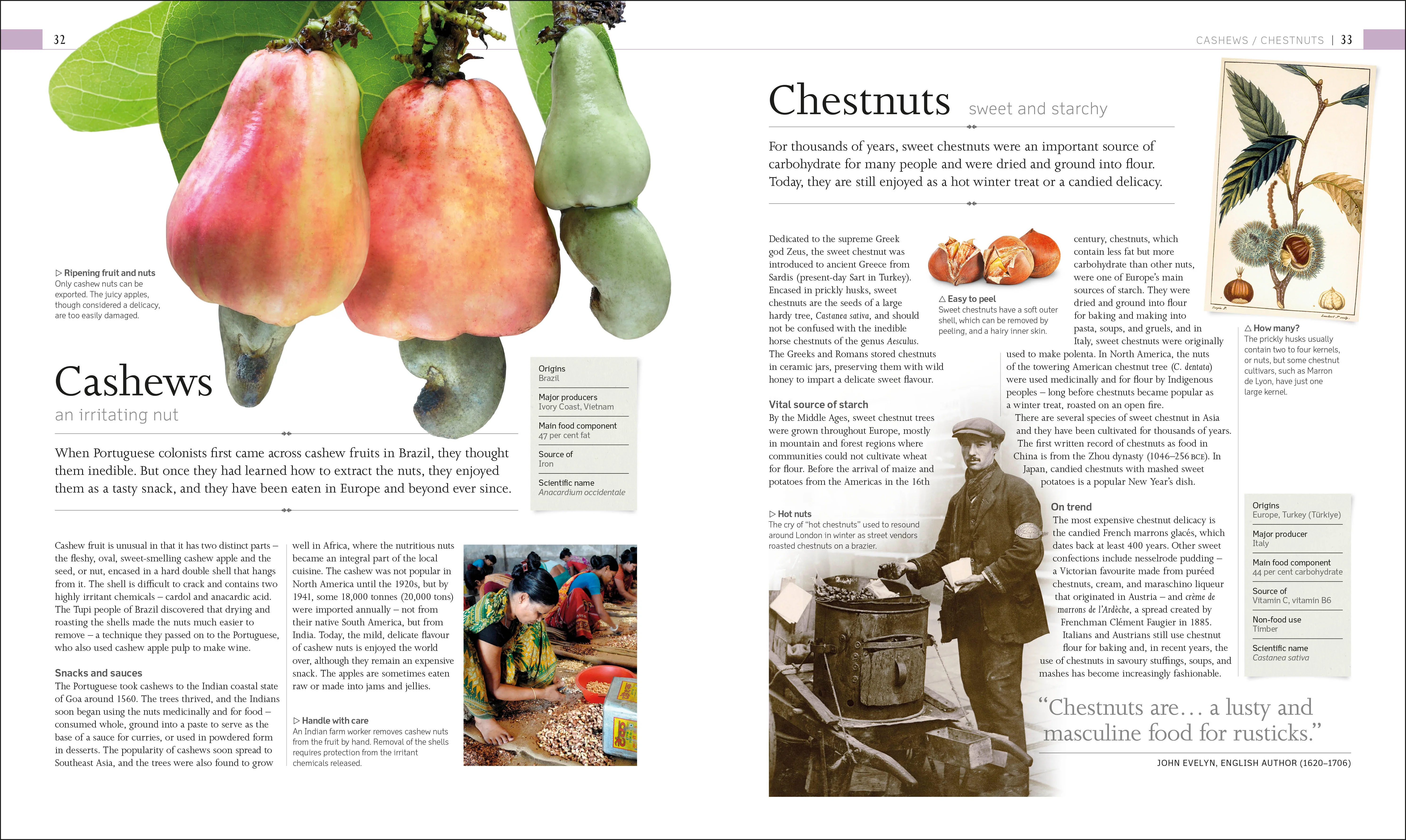 The Food Book - Image 2