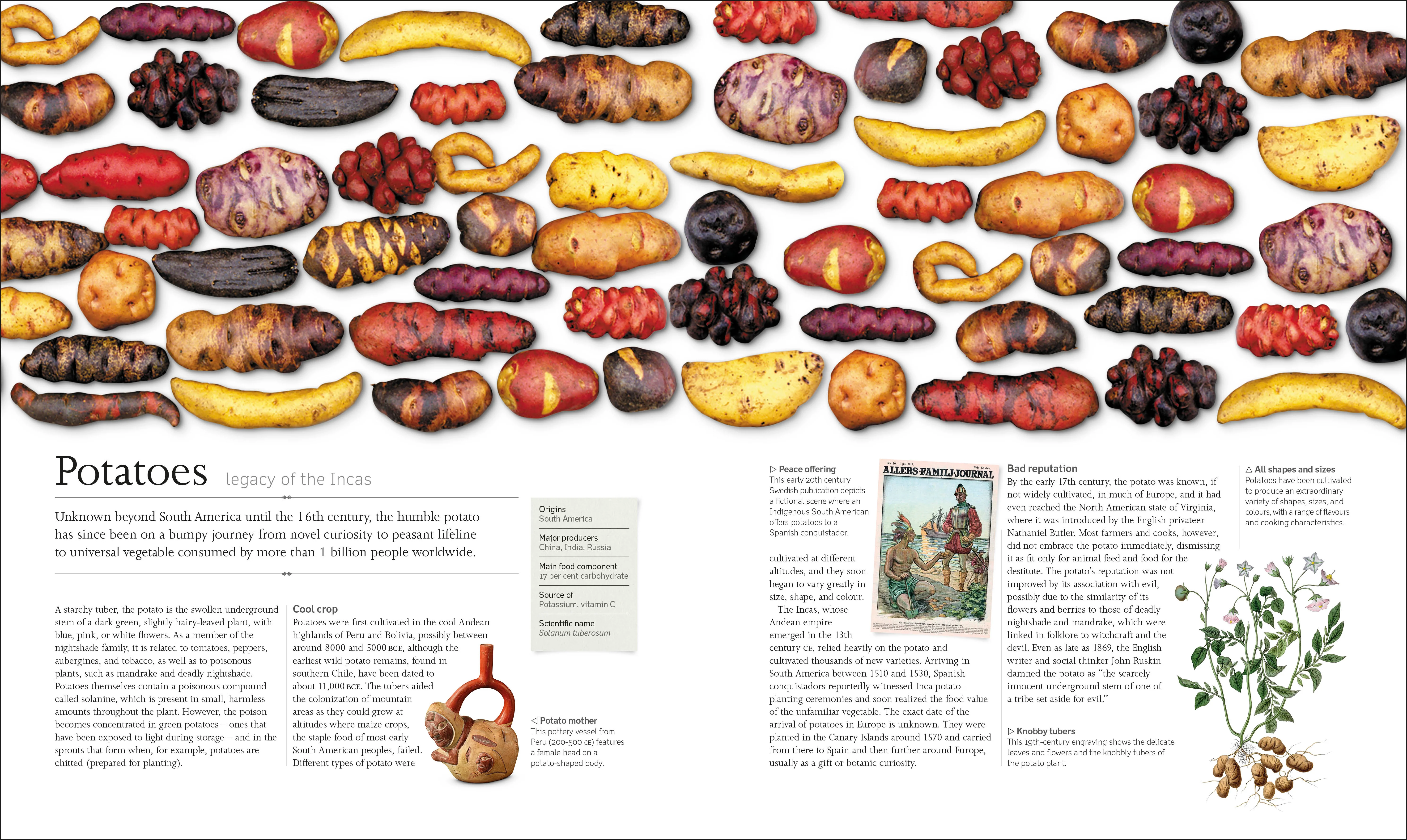 The Food Book - Image 3