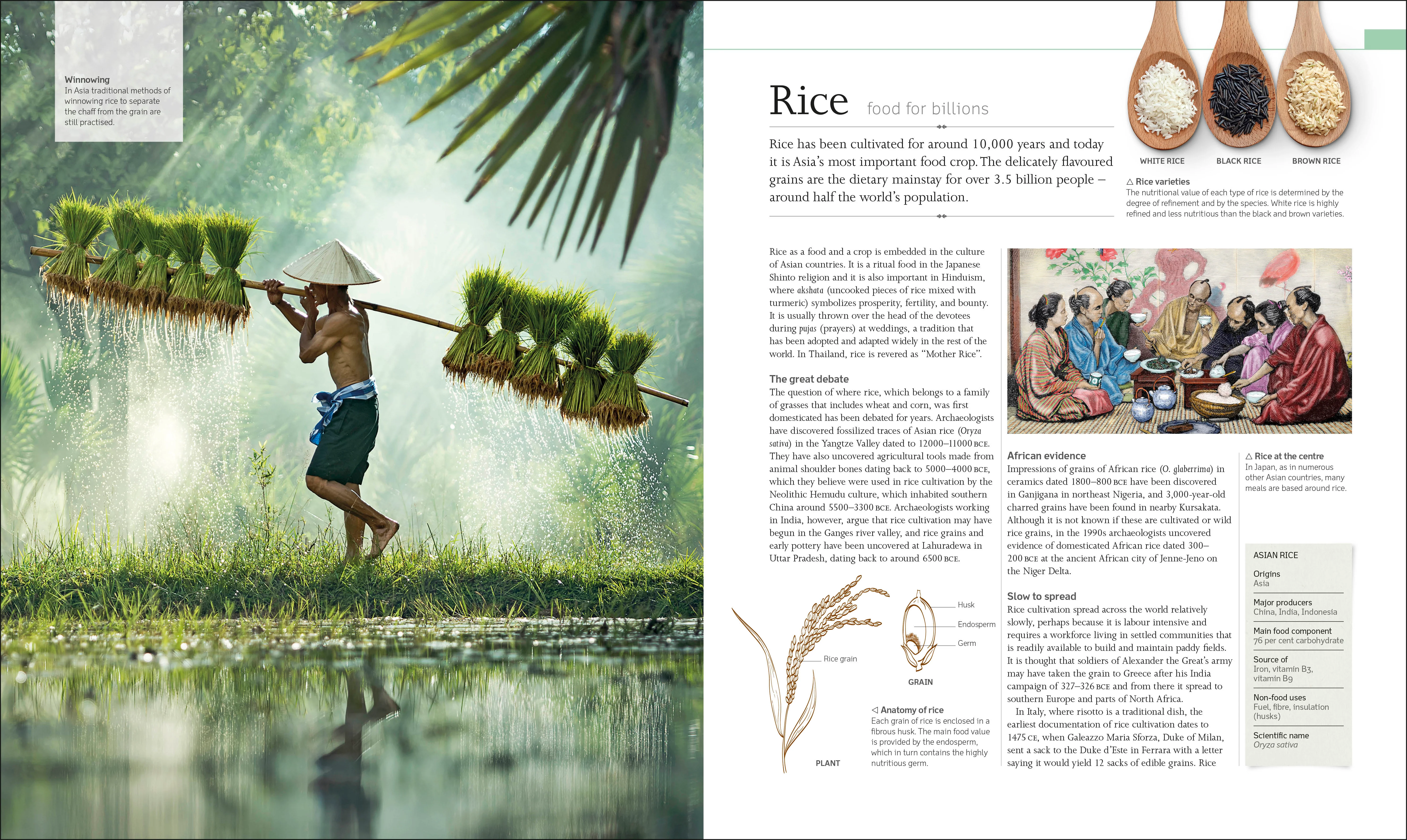The Food Book - Image 5