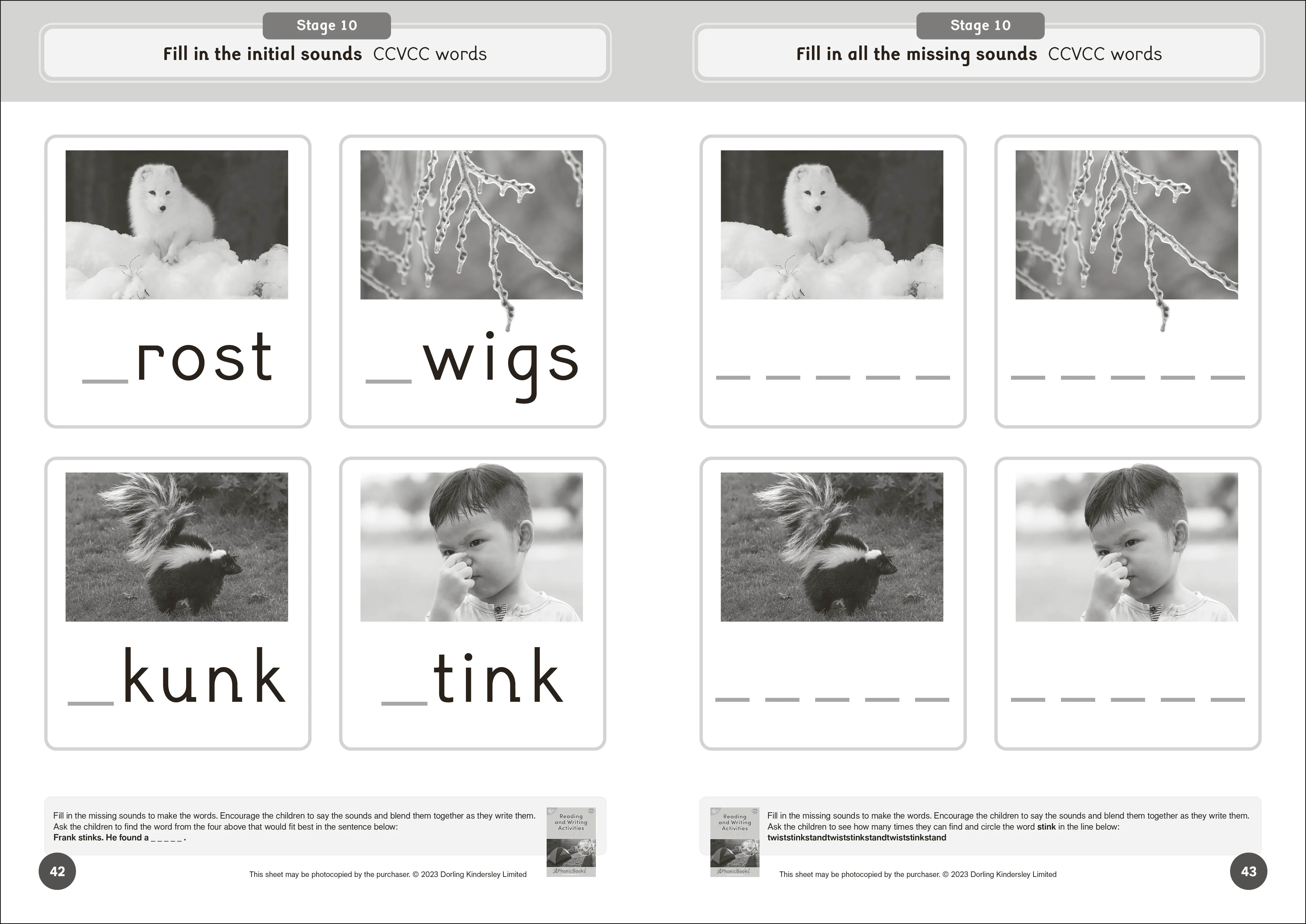 Phonic Books Dandelion World Reading and Writing Activities for Stages 8-15 - Image 3