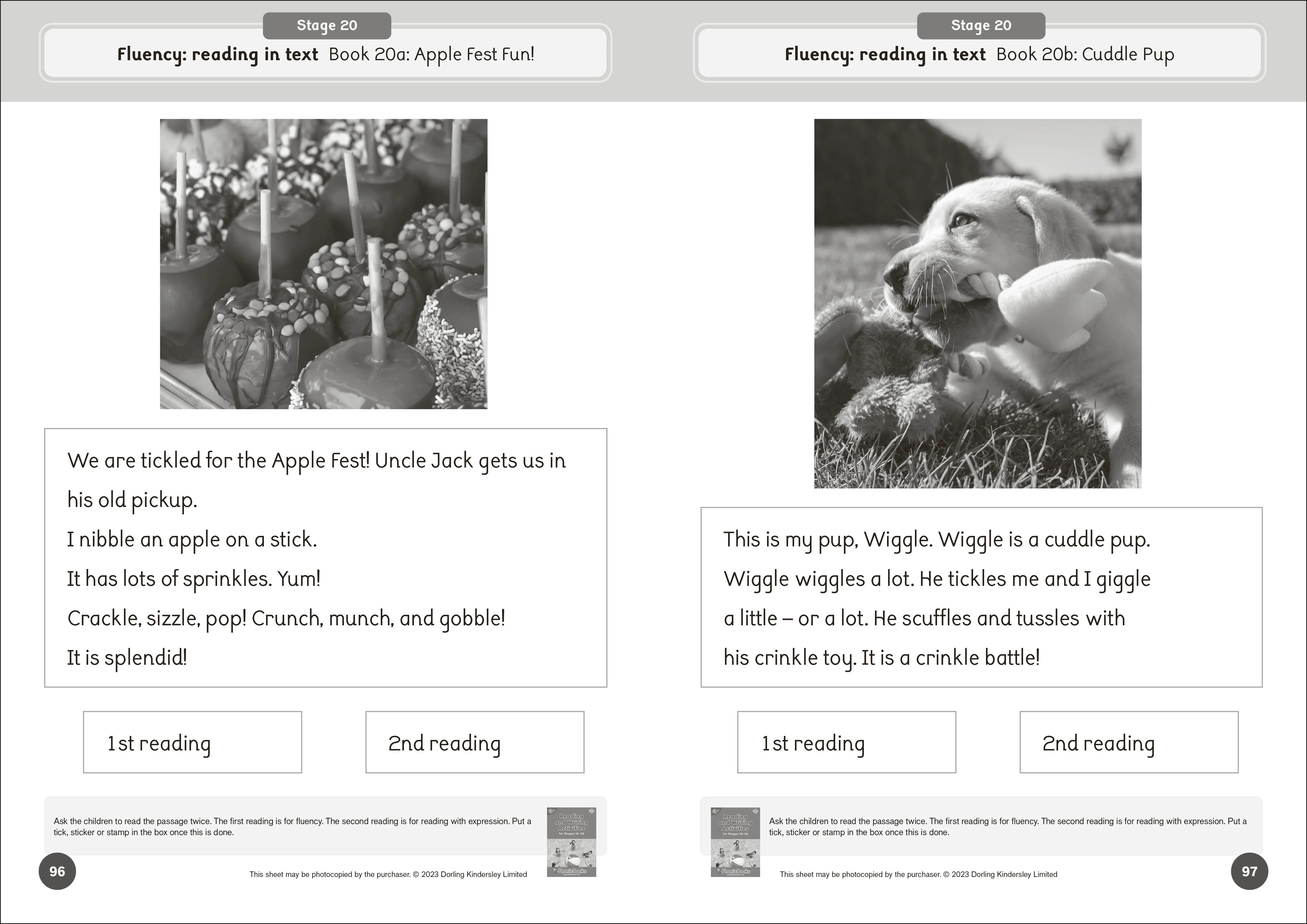 Phonic Books Dandelion World Reading and Writing Activities for Stages 16-20 - Image 4