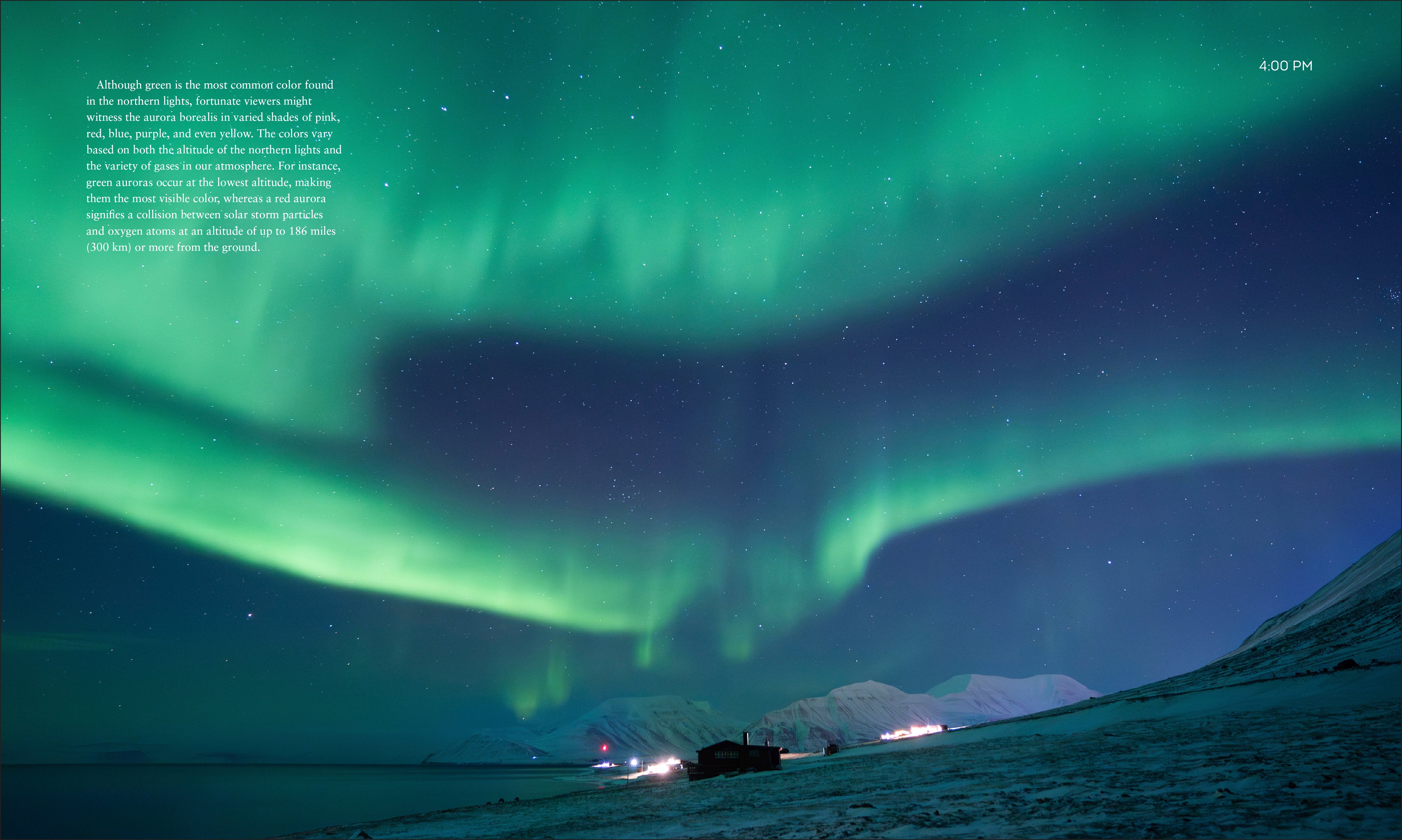 Life on Svalbard - Image 4