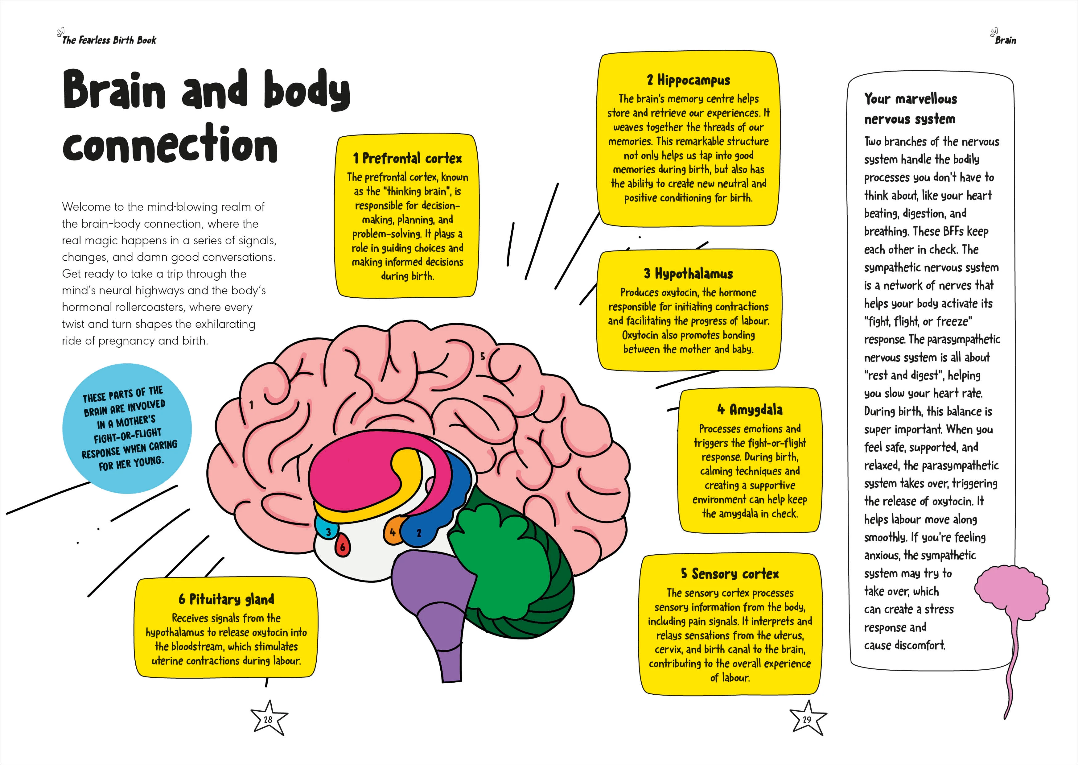 The Fearless Birth Book (The Naked Doula) - Image 3