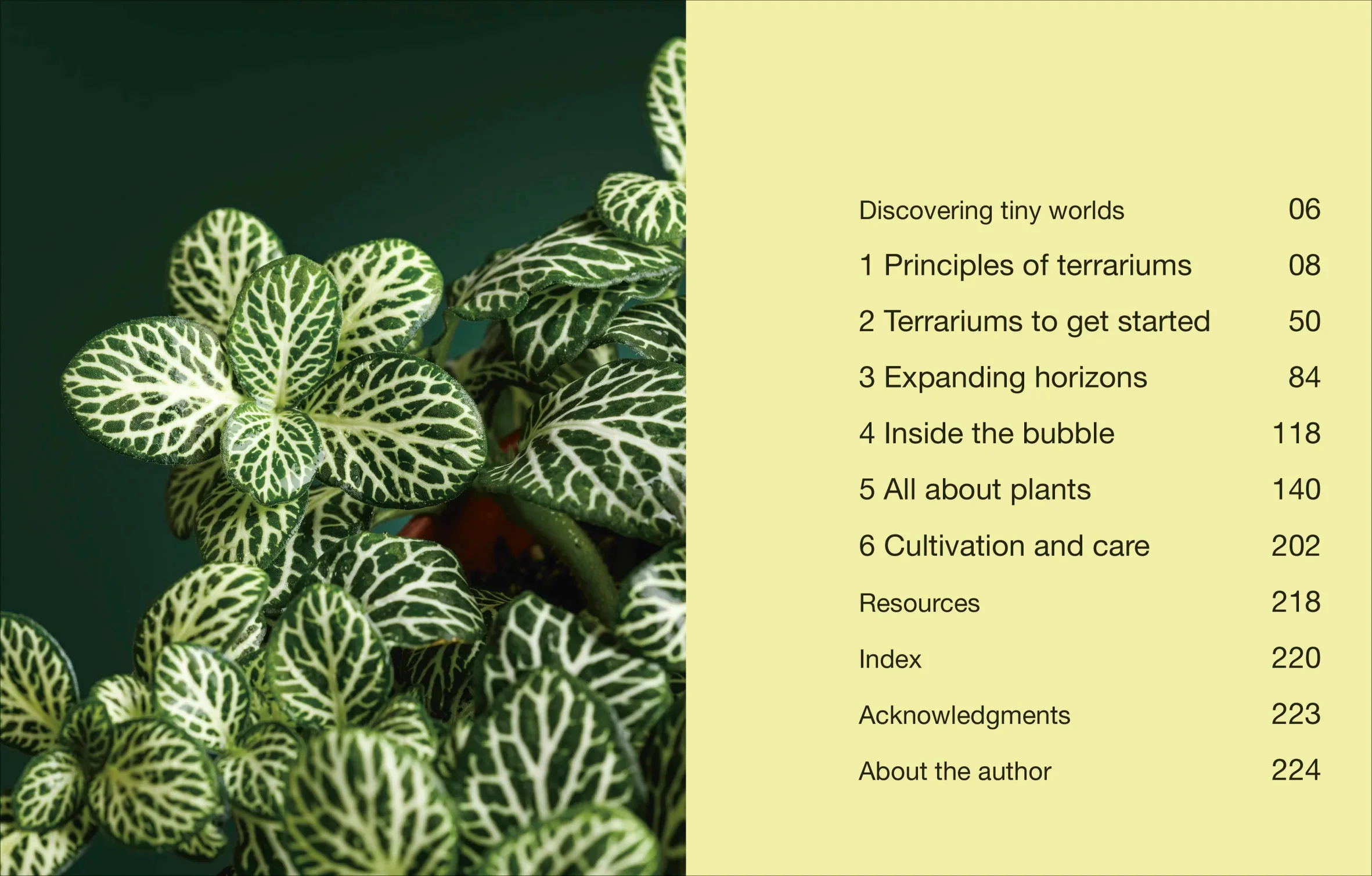 Hello Tiny World - Image 2
