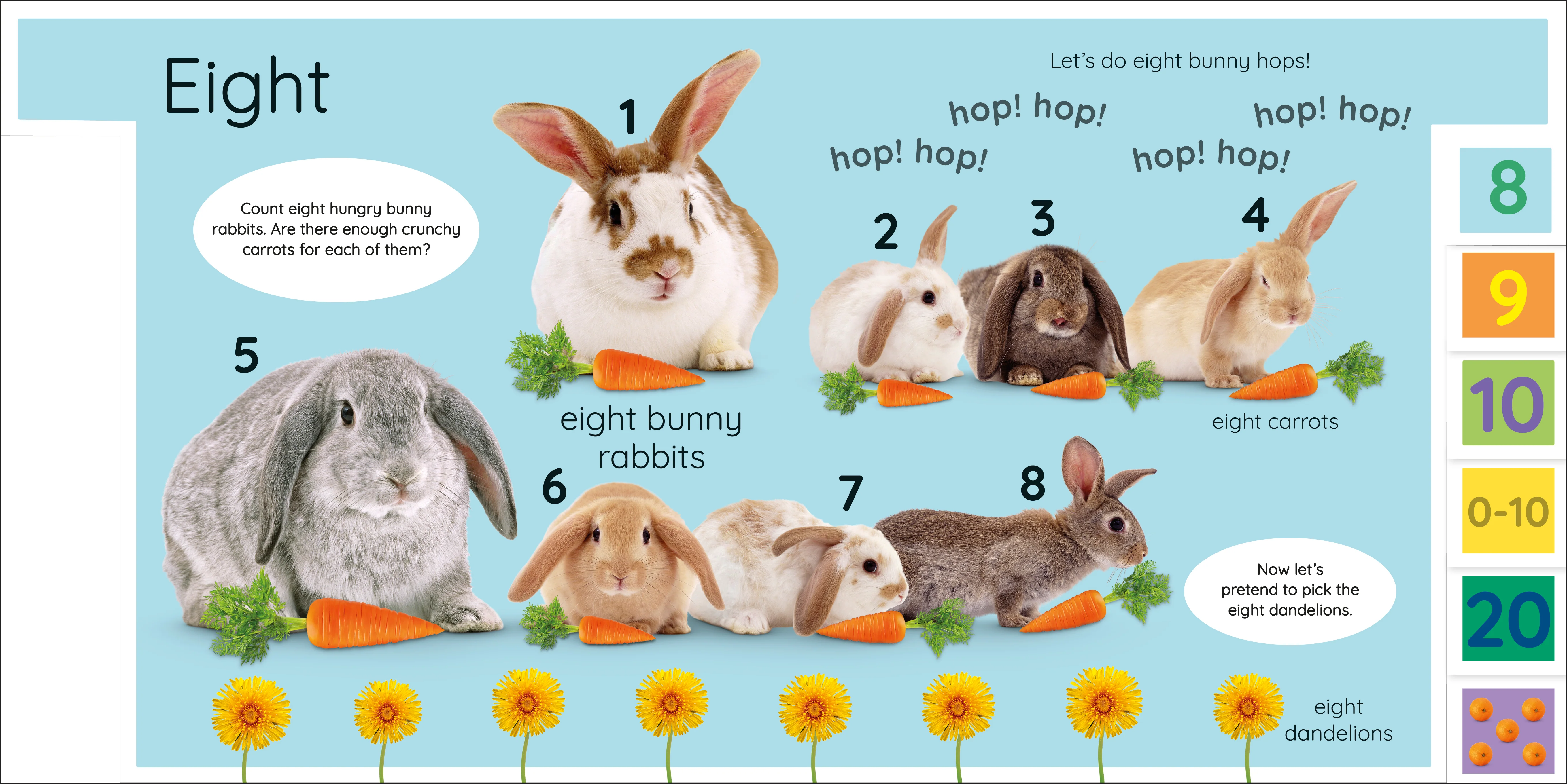 My First Numbers: Let's Get Counting! - Image 3
