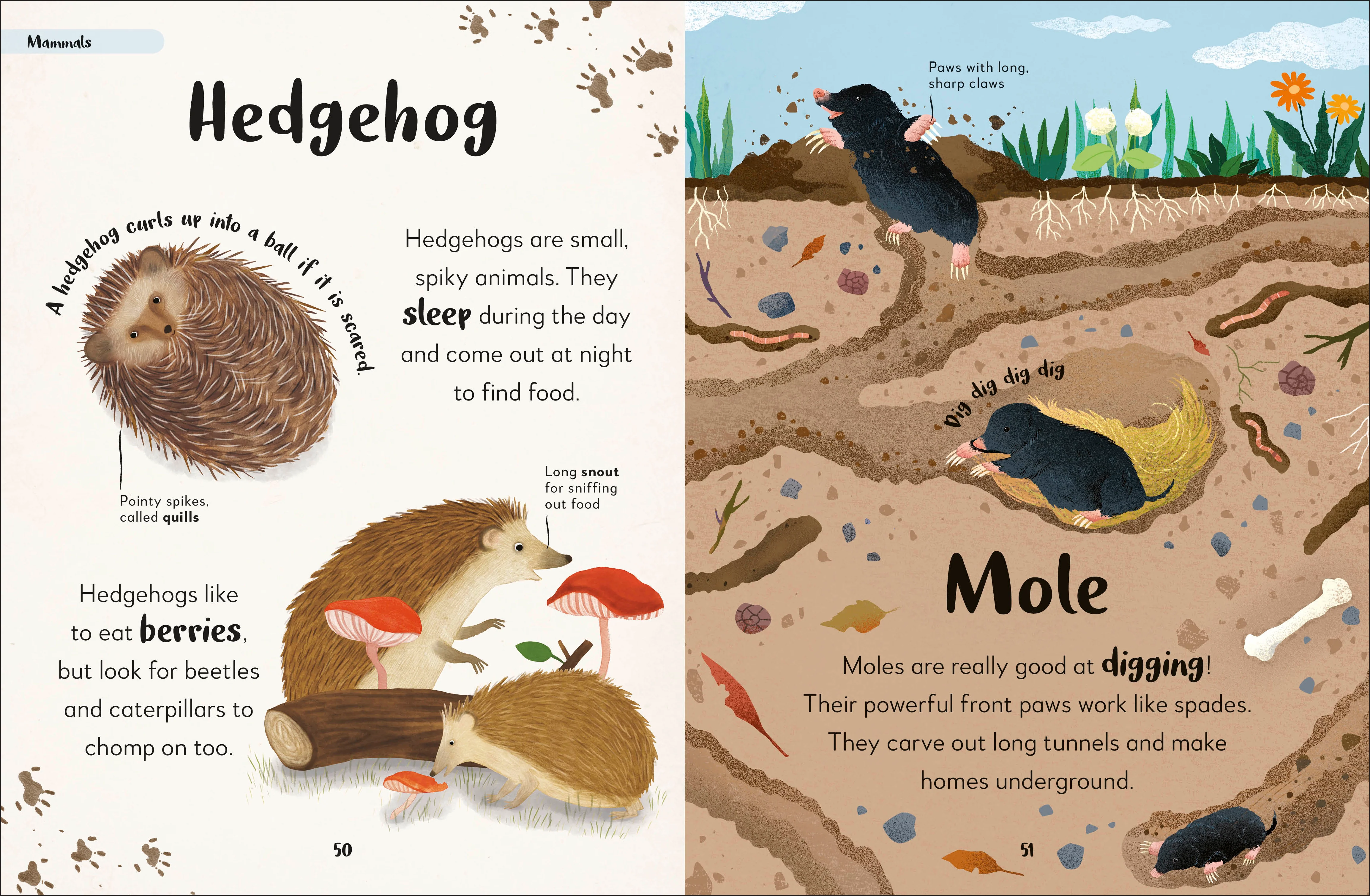 Bedtime Books - Image 2