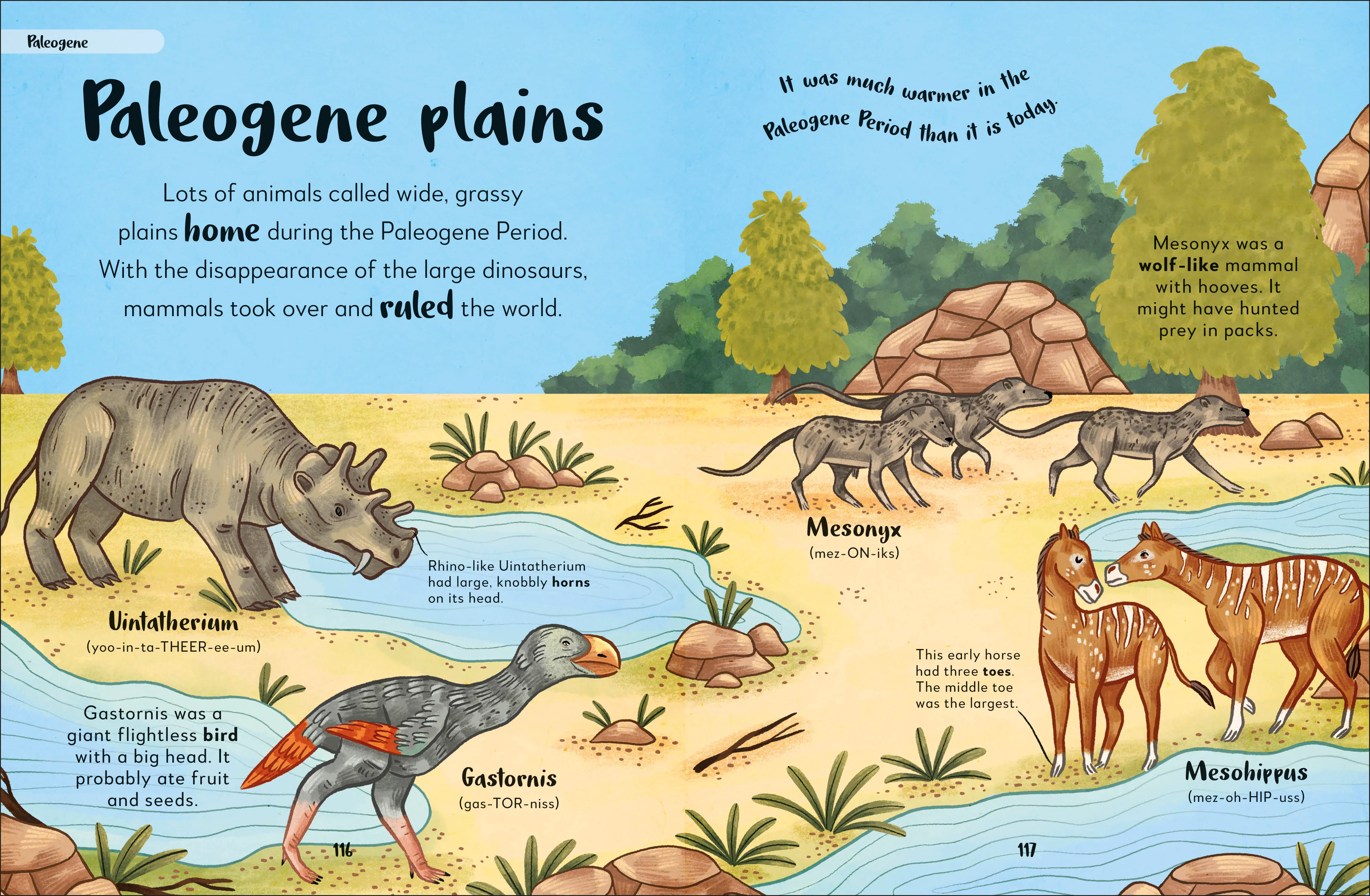 Bedtime Books - Image 7