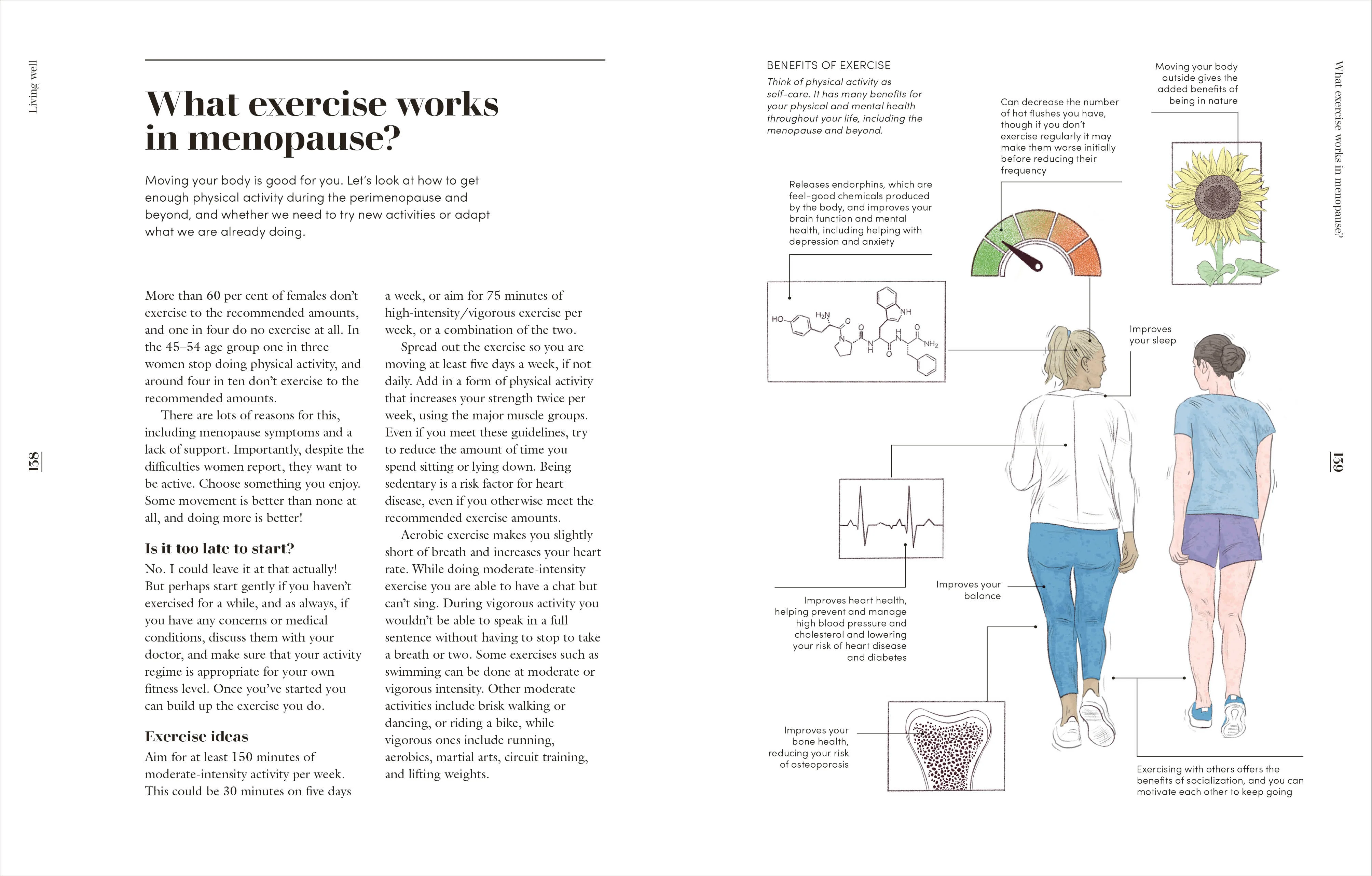 The Science of Menopause - Image 6