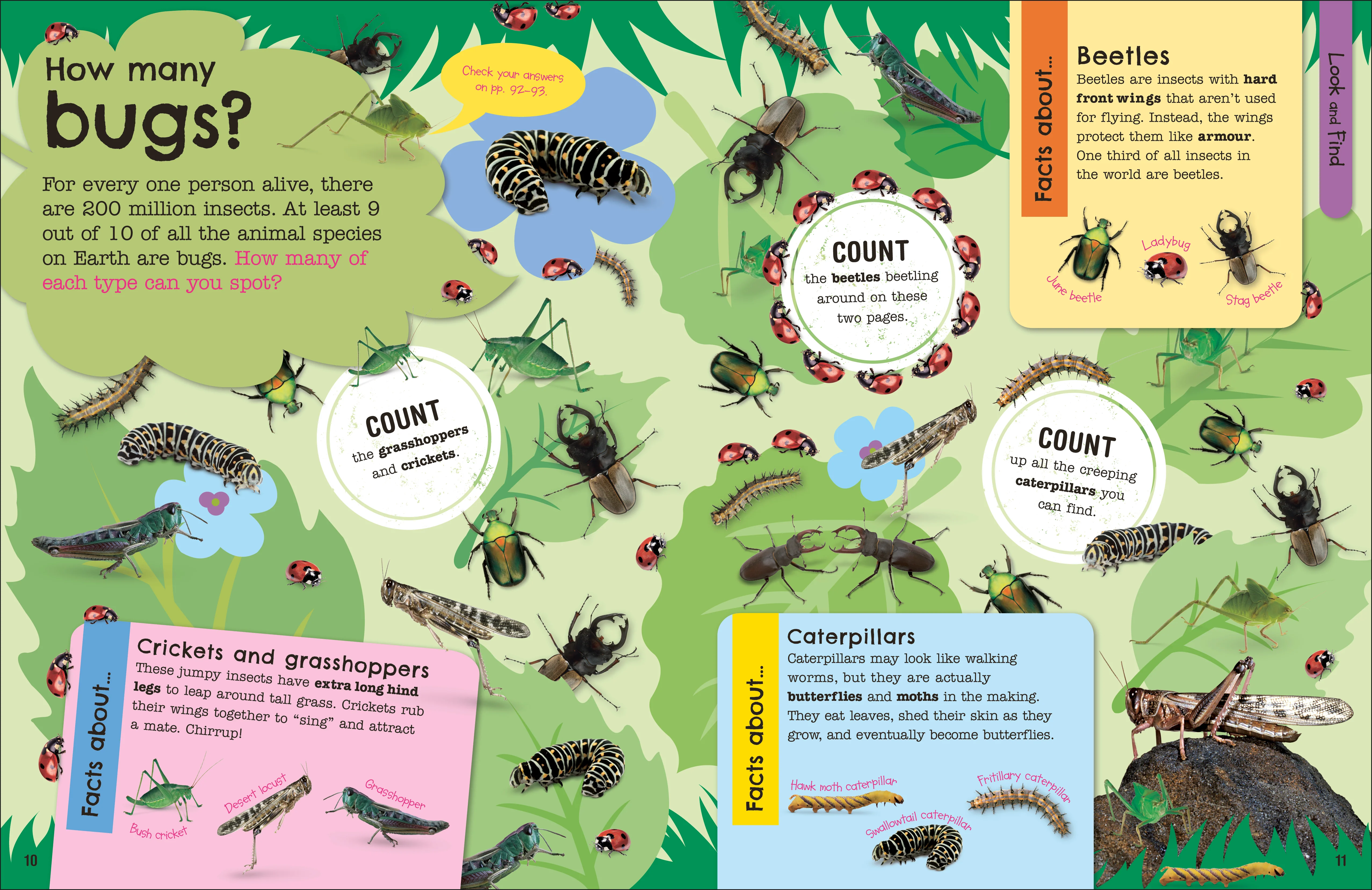 The Fact-Packed Activity Book: Animals - Image 2