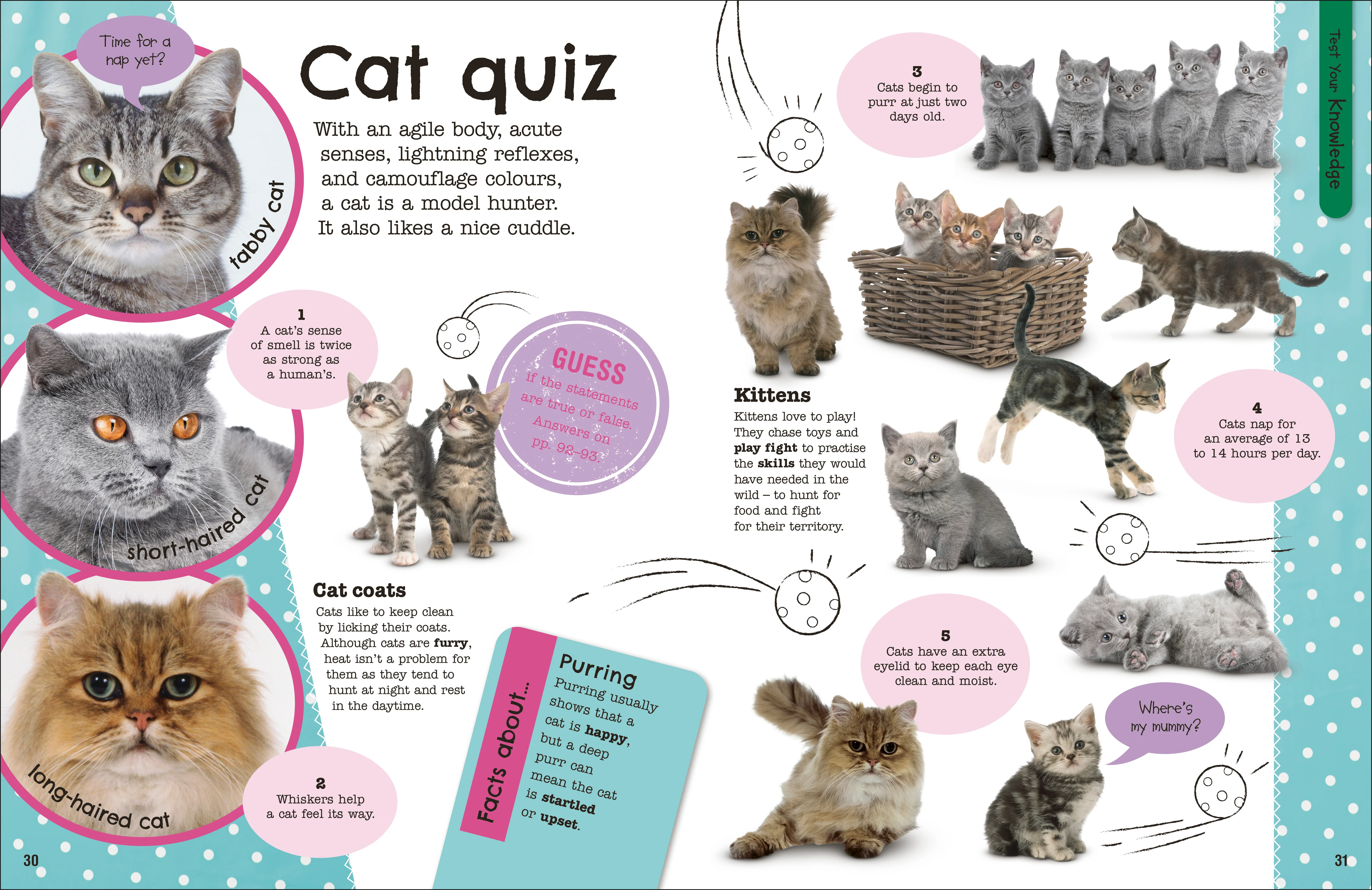 The Fact-Packed Activity Book: Animals - Image 3