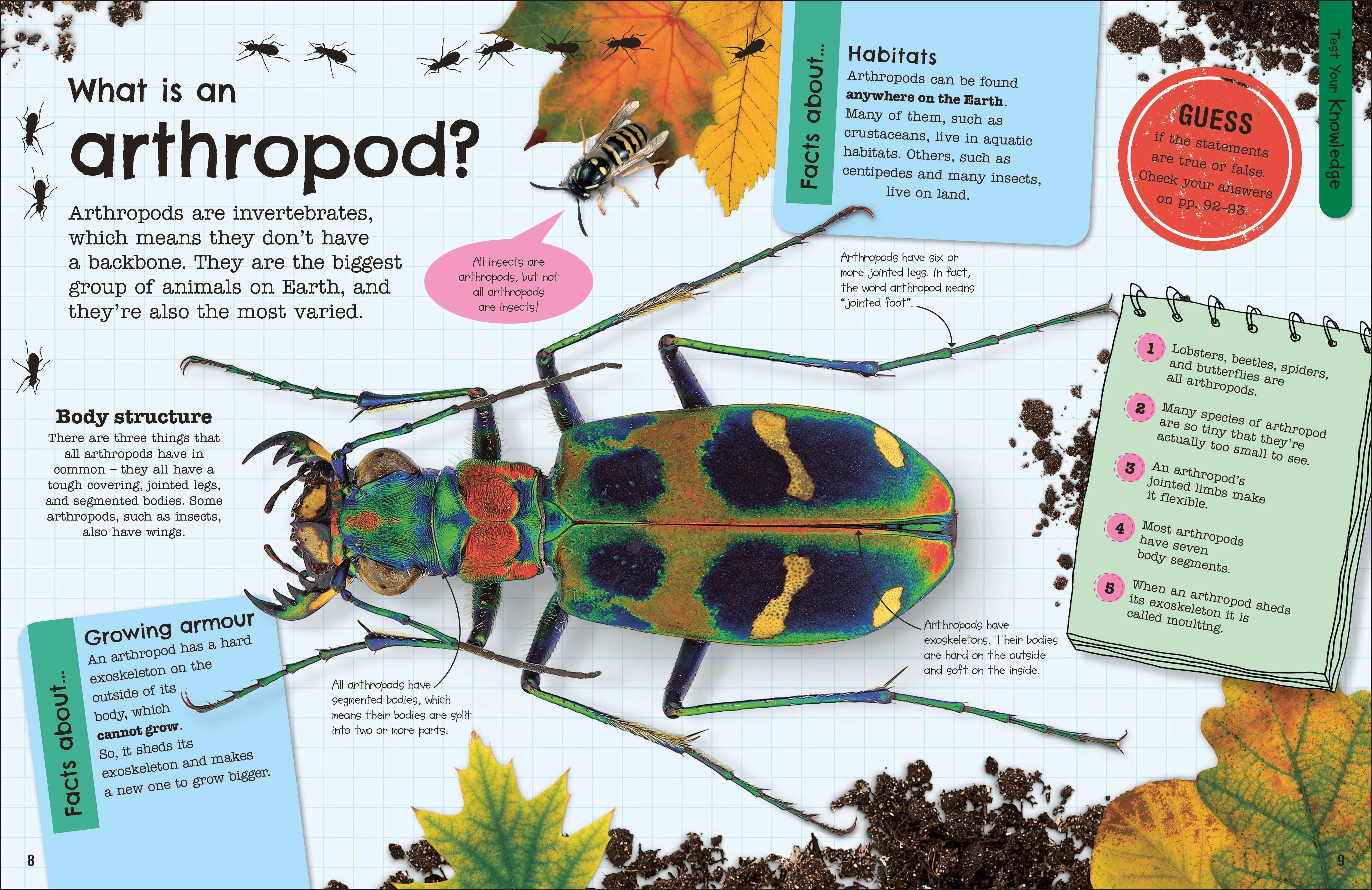 The Fact-Packed Activity Book: Insects - Image 2